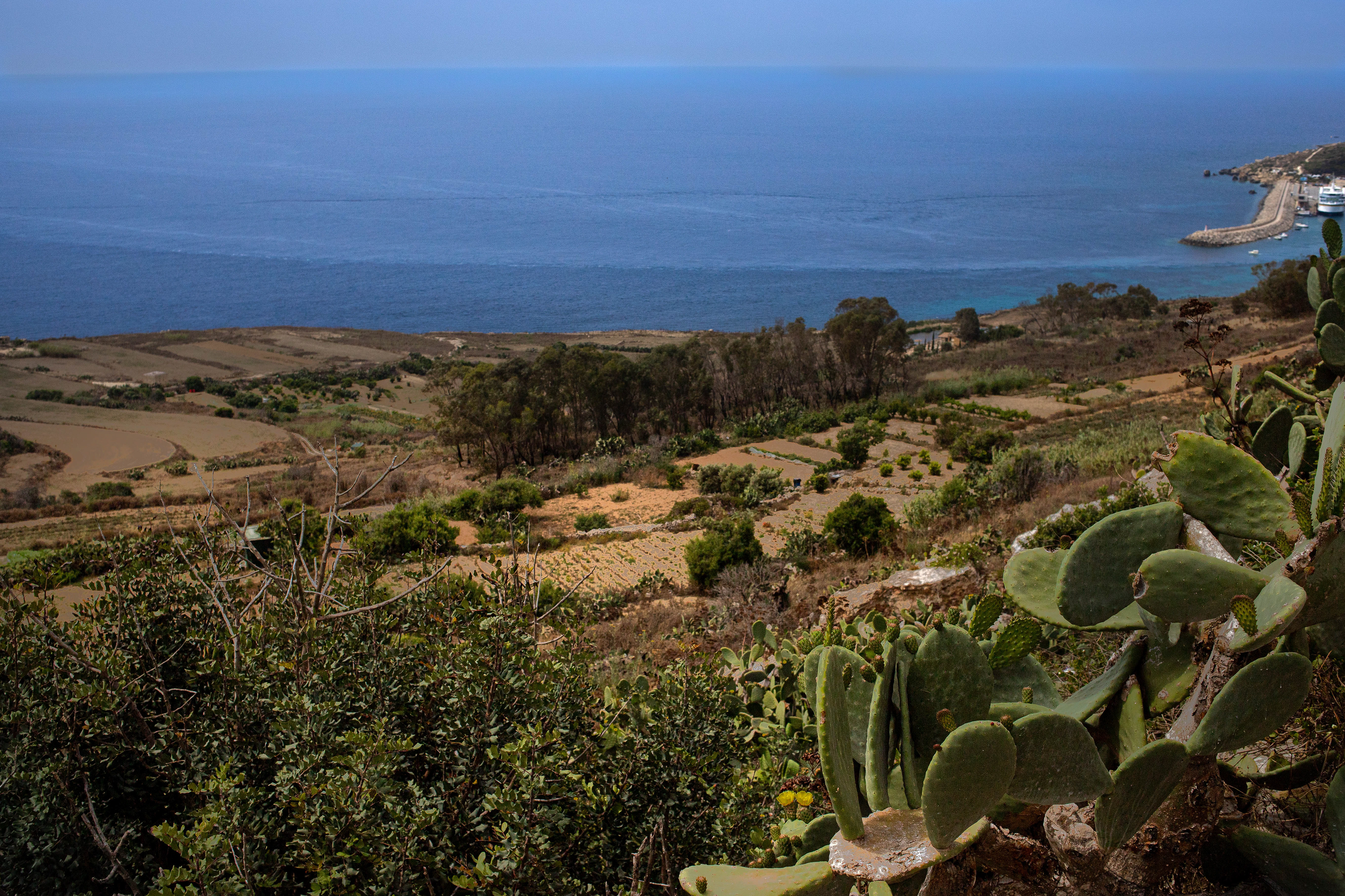 Sea Views