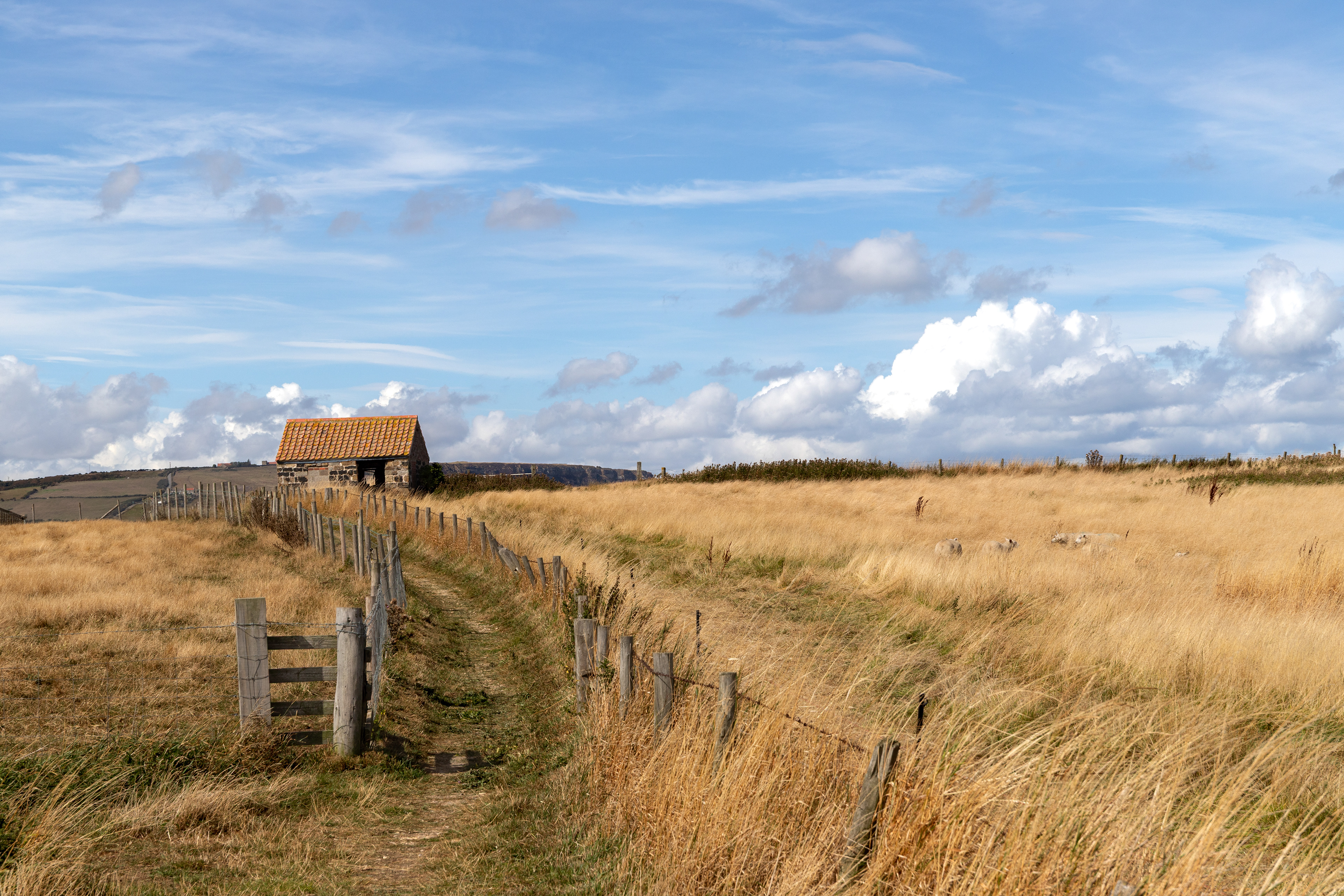 Coastal farm