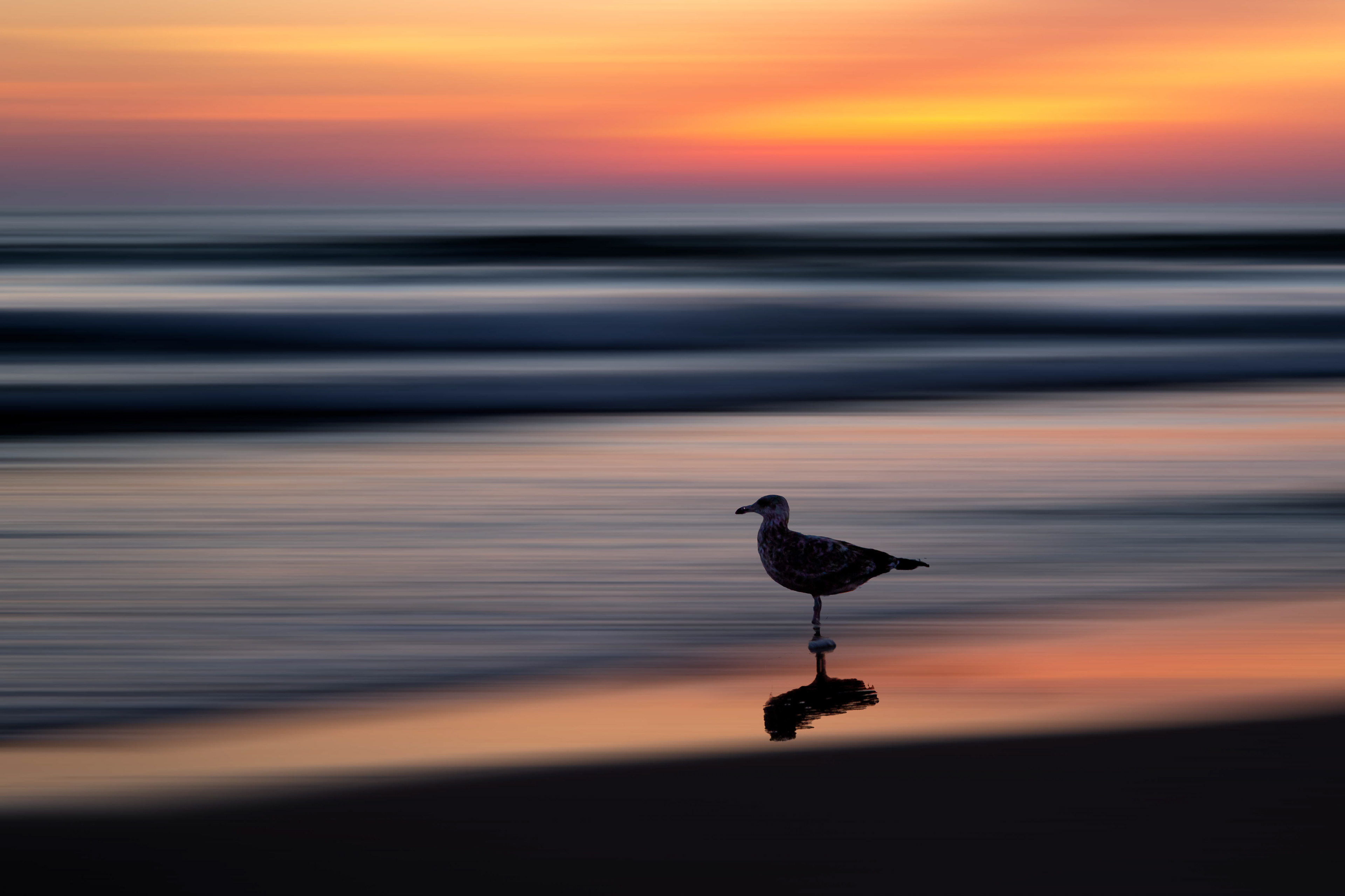 Nags Head, NC