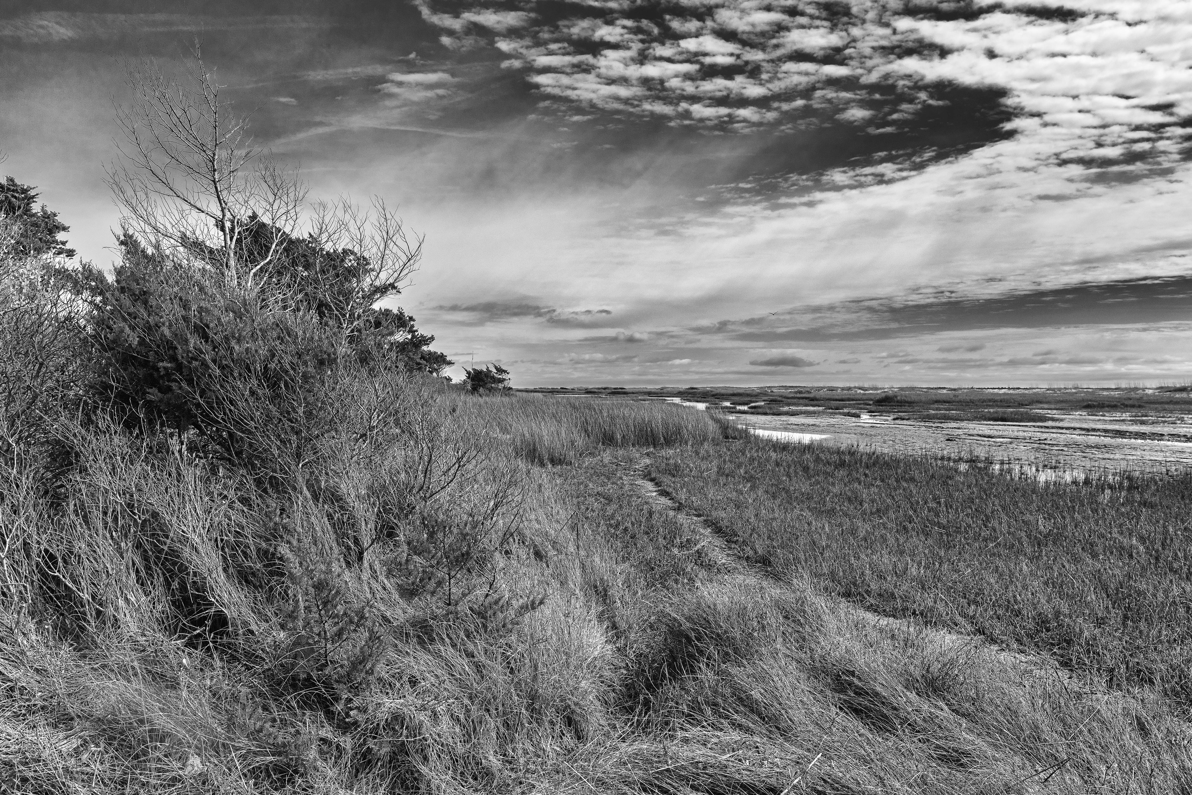 Rachel Carson Reserve, Beaufort, NC