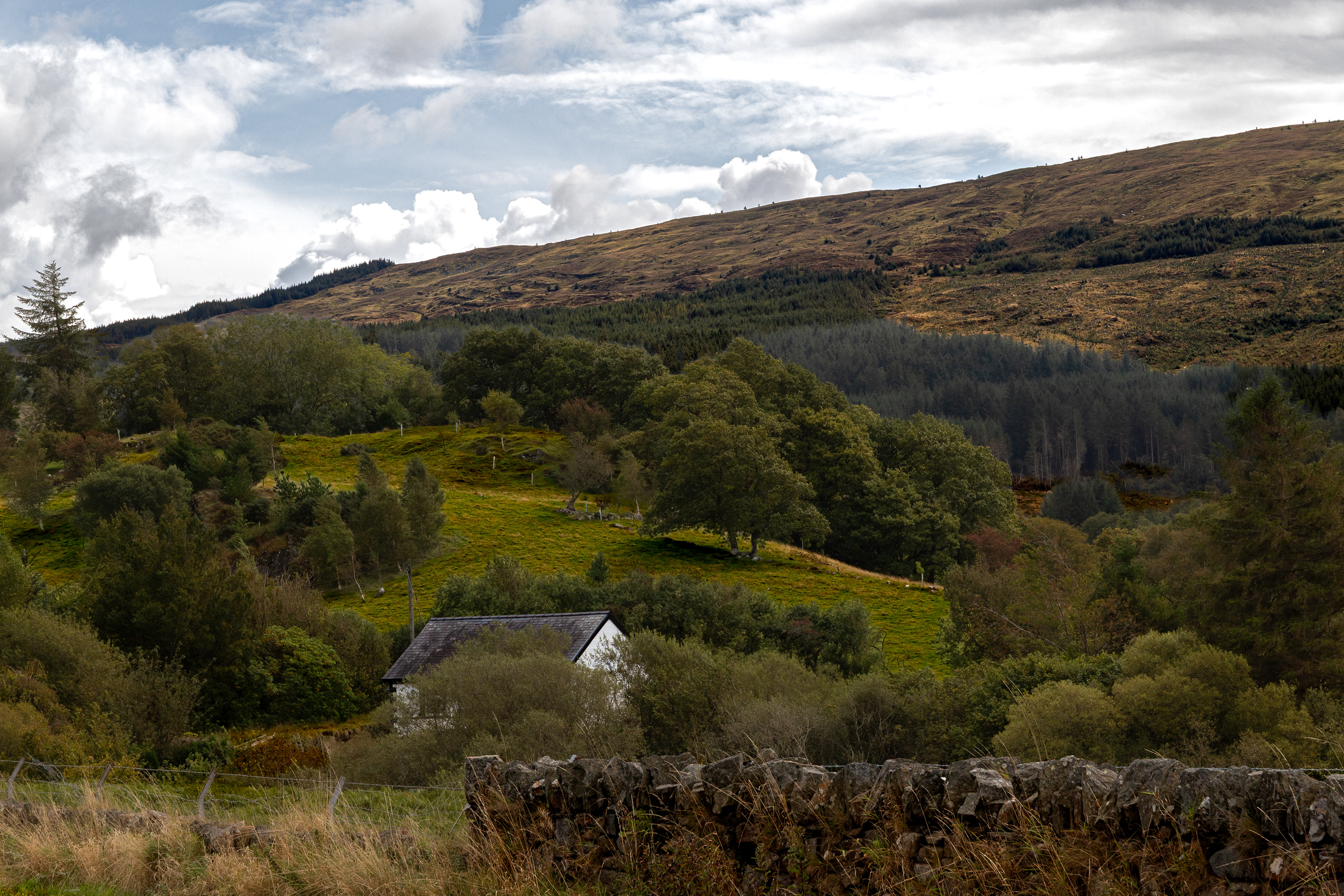 Snowdonia