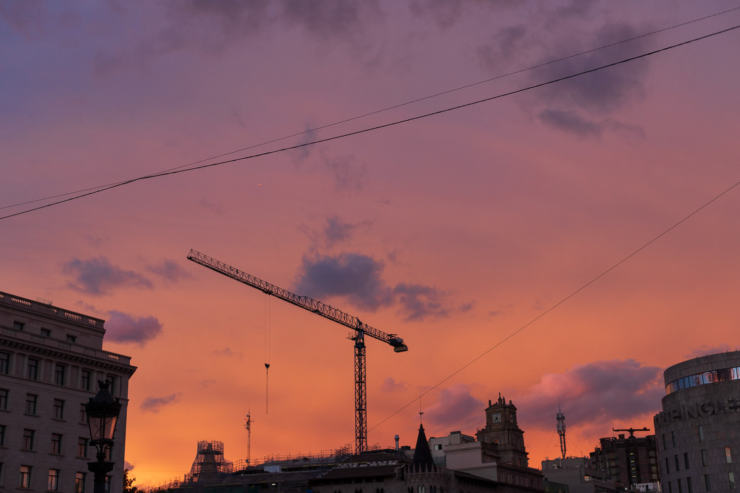 ©camillebarberonphotographie