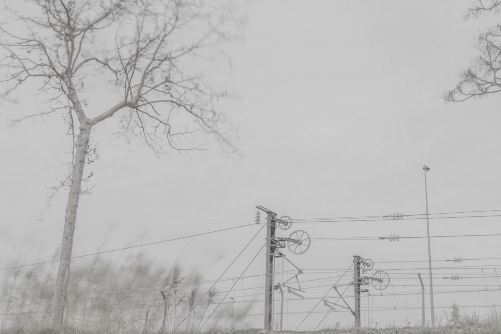 ©camillebarberonphotographie