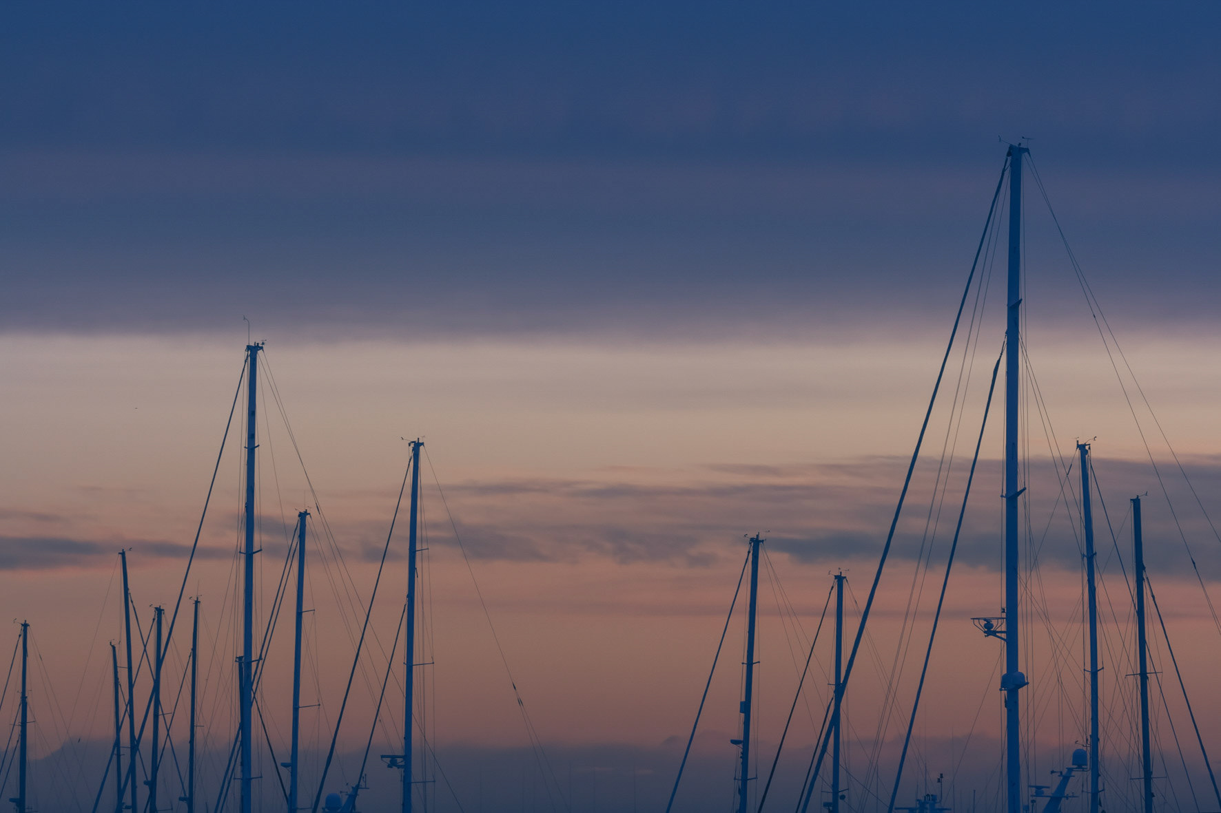 ©camillebarberonphotographie