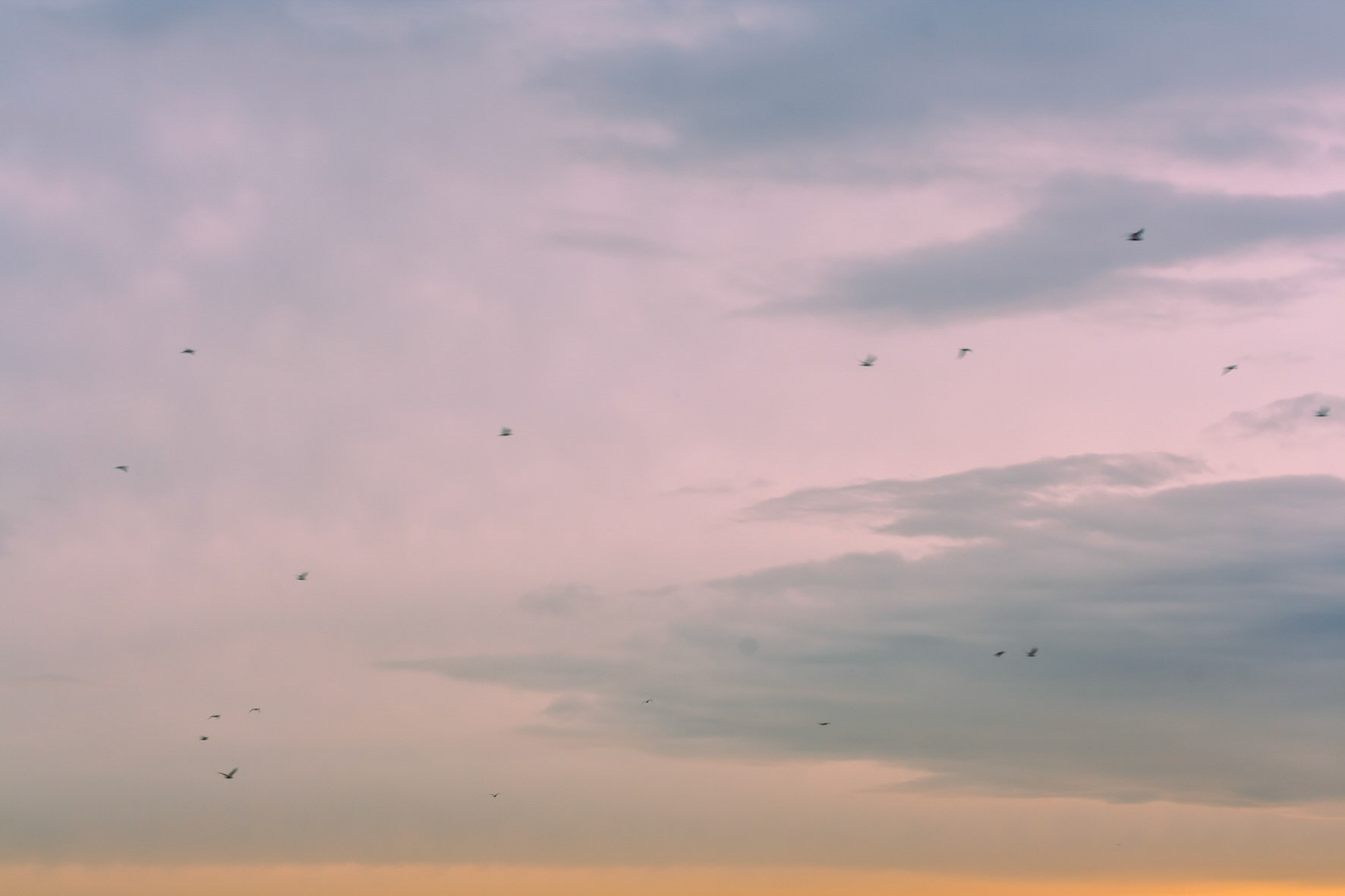 ©camillebarberonphotographie