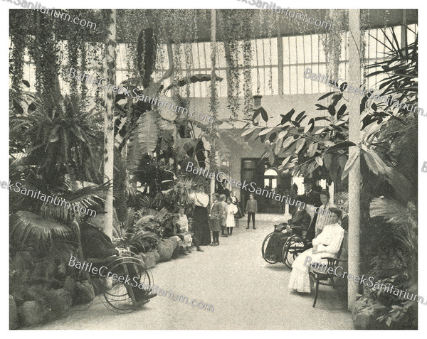 Misc-106 Battle Creek Sanitarium Palm Garden