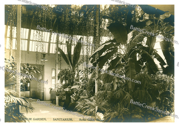 Misc-102 Battle Creek Sanitarium Palm Garden