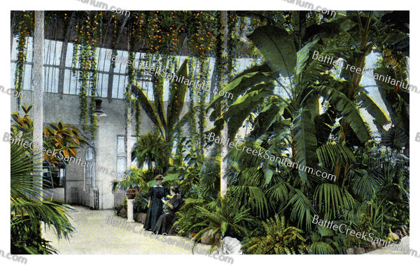 Misc-103 Battle Creek Sanitarium Palm Garden