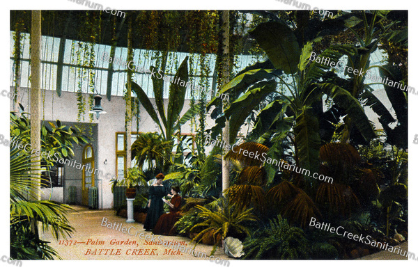 Misc-104 Battle Creek Sanitarium Palm Garden