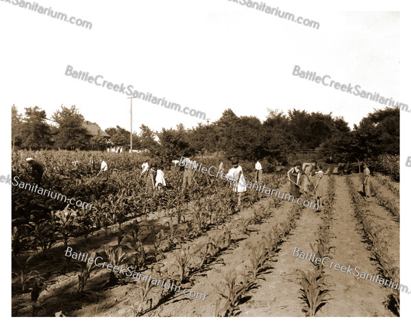 TO-95 Sunshine Center gardening