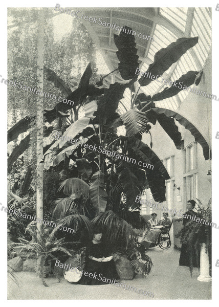 Misc-107 Battle Creek Sanitarium Palm Garden