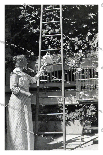 JHK-62 Dr. John Harvey Kellogg wife