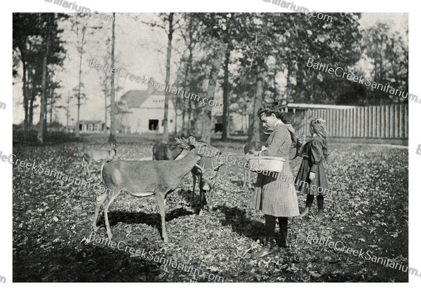 TO-5 Dr. Kellogg's dear park by his Sunshine Playground
