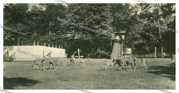 TO-8 Dr. Kellogg's dear park by his Sunshine Playground