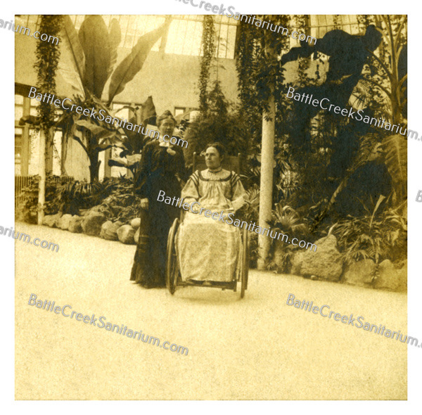 Misc-109 Battle Creek Sanitarium Palm Garden