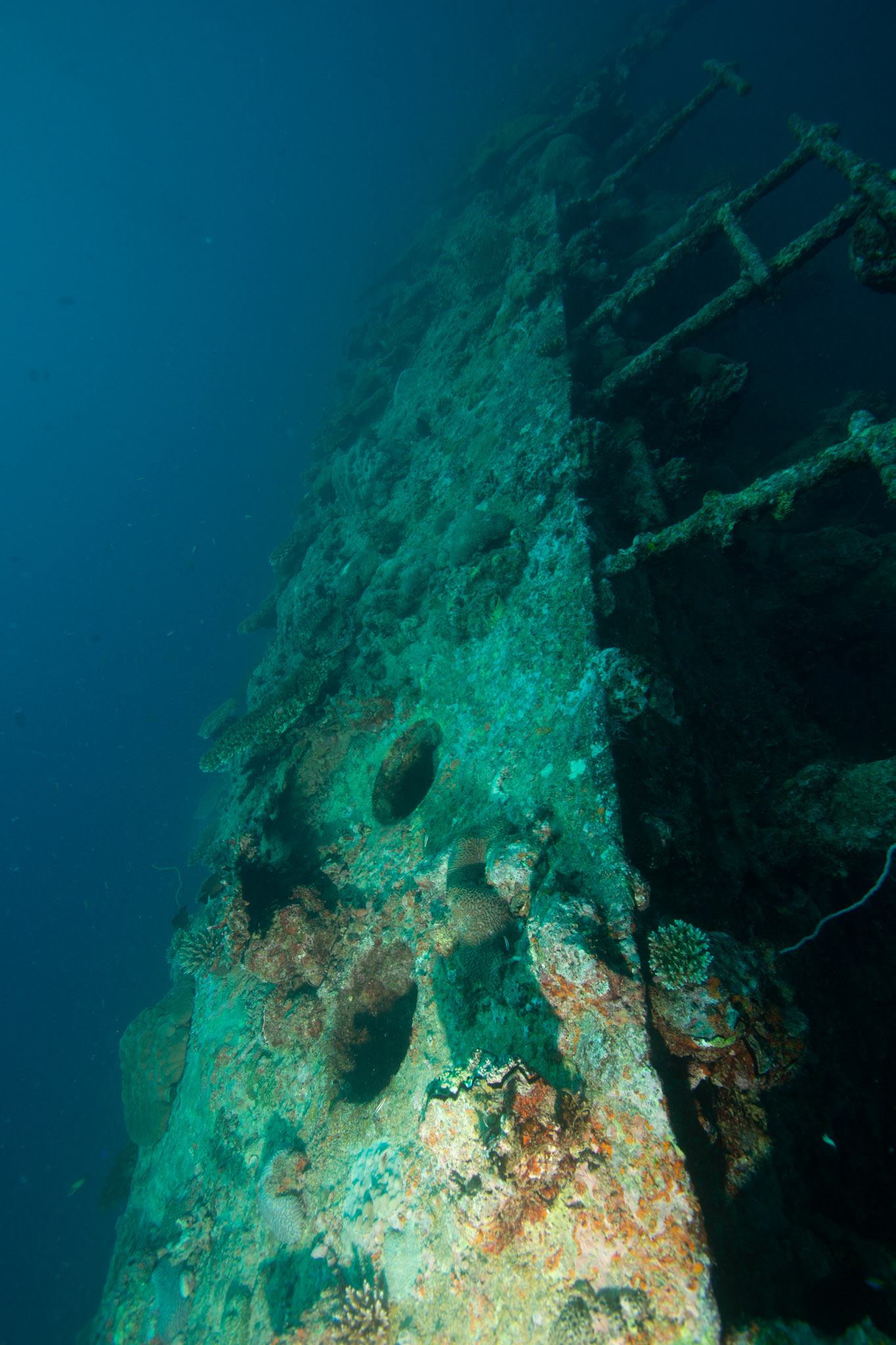 Vrak British Loaylty