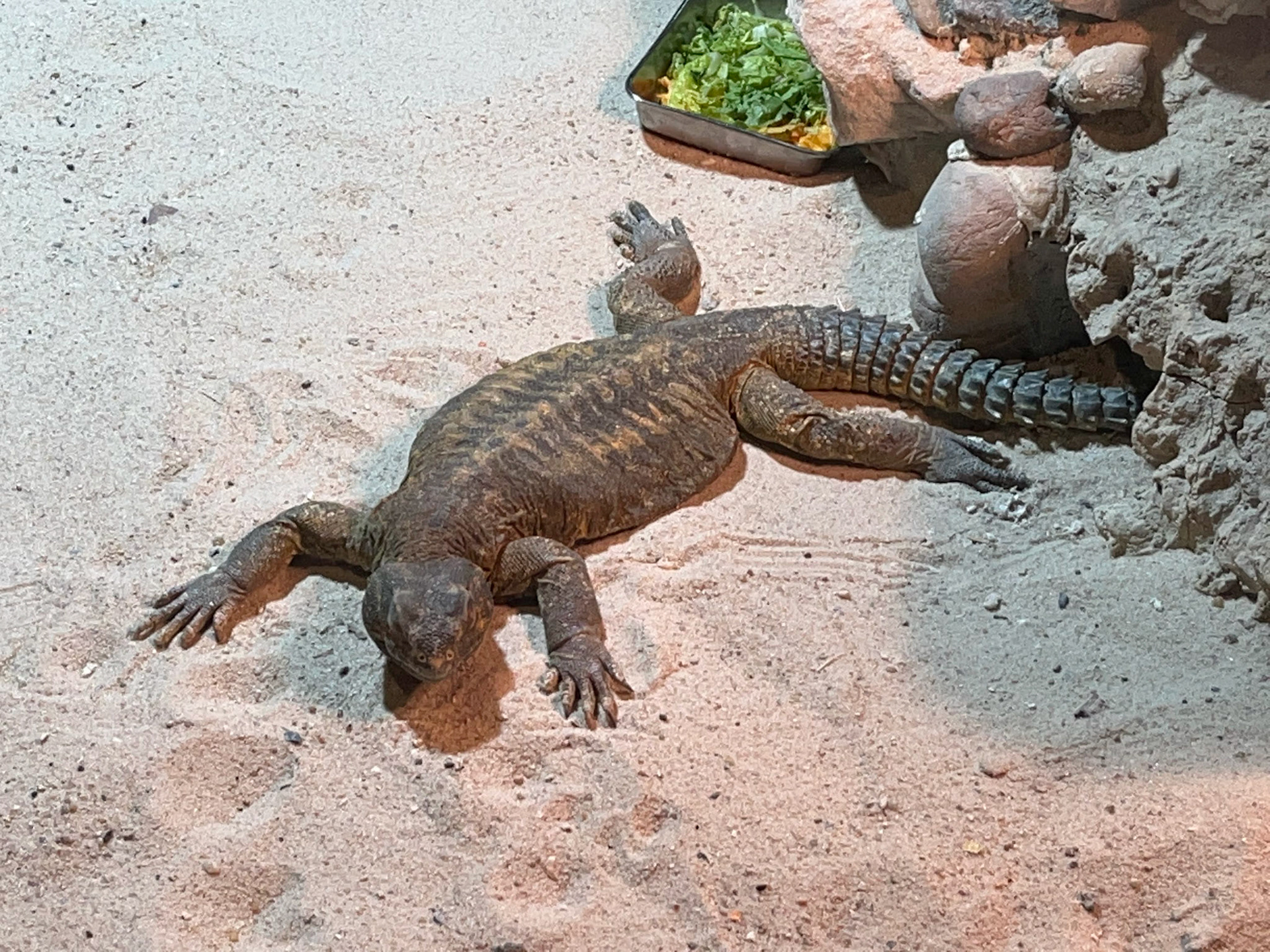 Kuwait Scientific Center