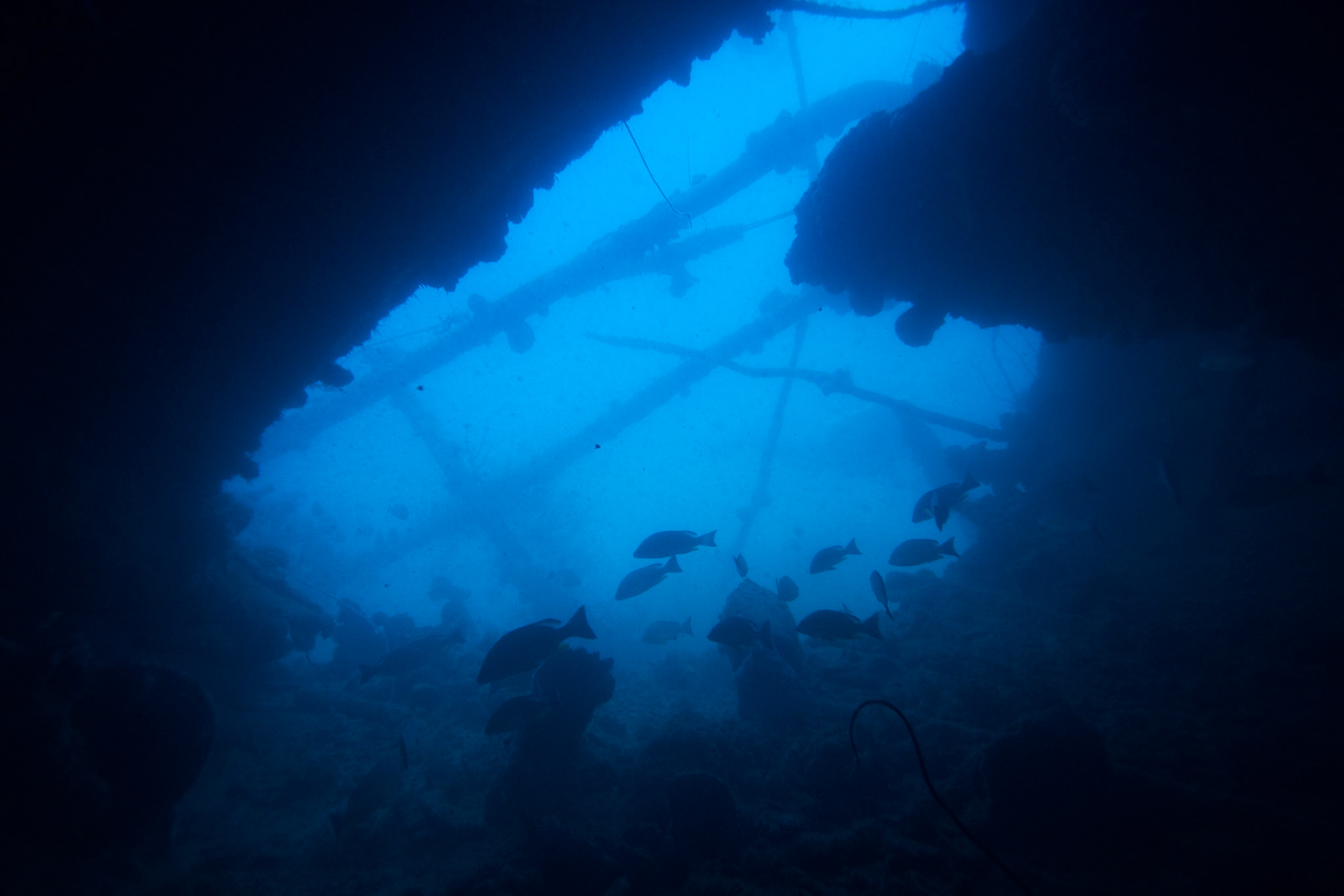 Vrak British Loaylty