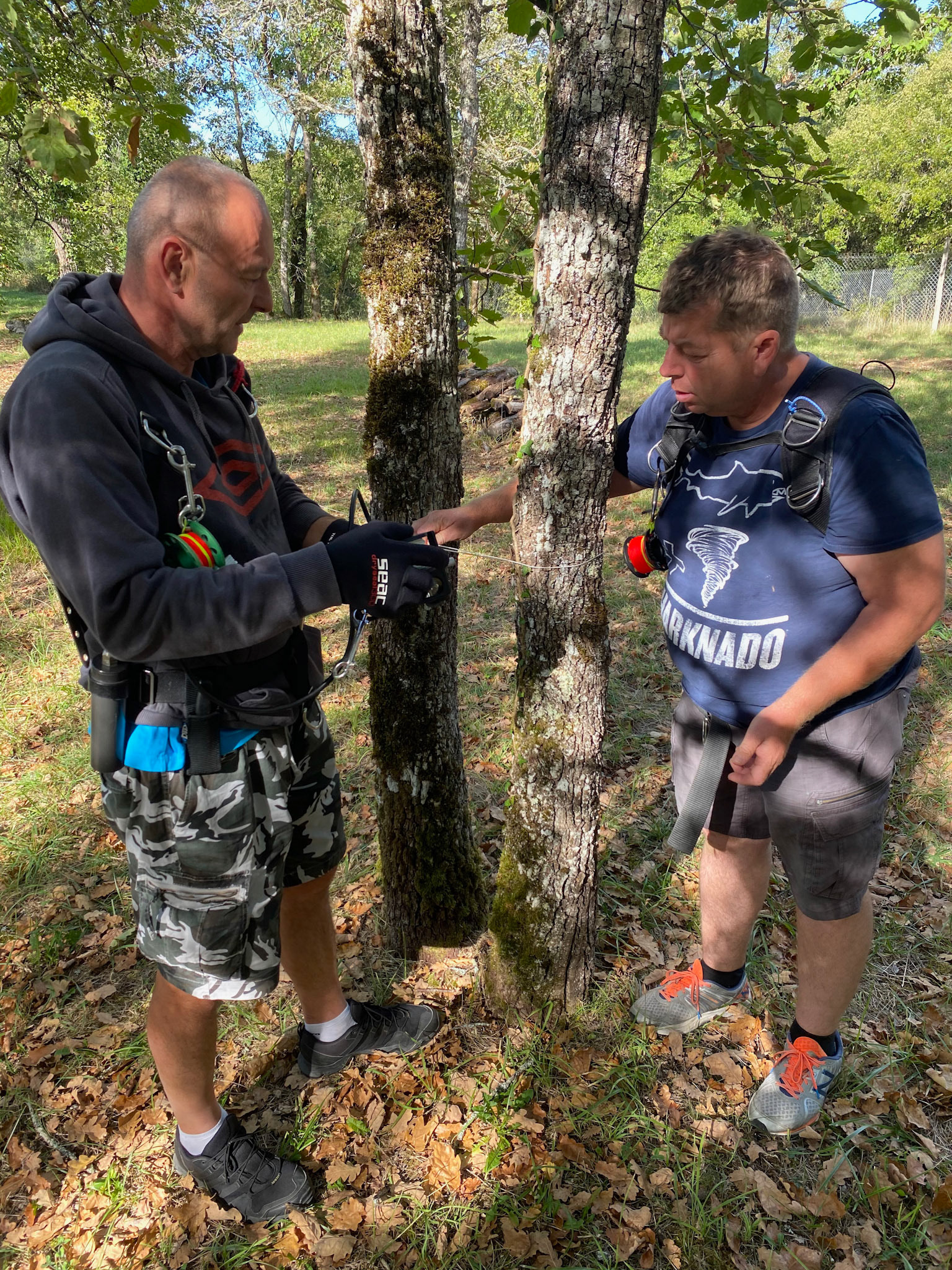 Trénink práce s linkou