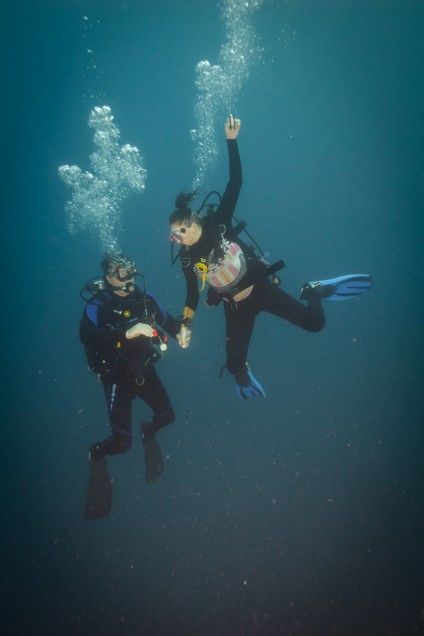 Vrak British Loaylty