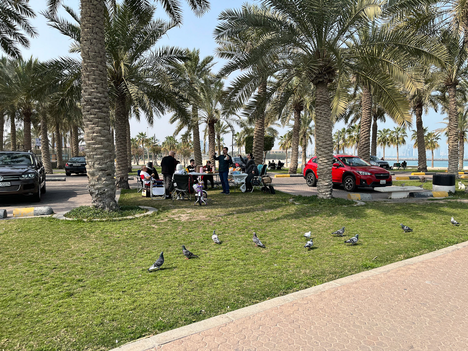 Rodinný piknik v parku