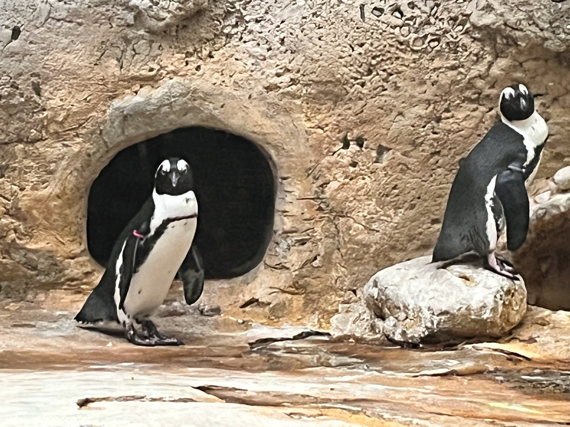 Kuwait Scientific Center