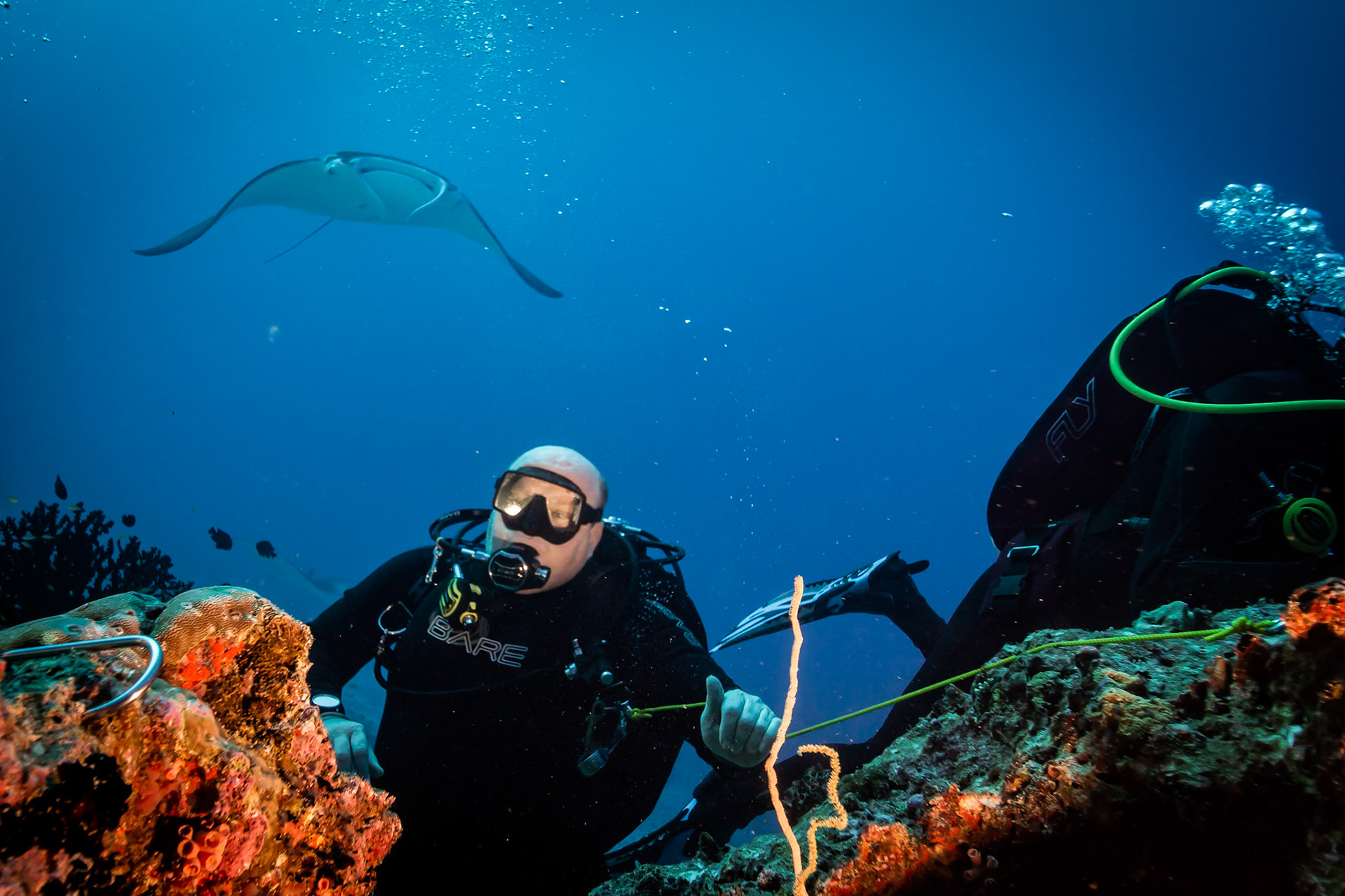 Mrož a manta (říkala Lenka)