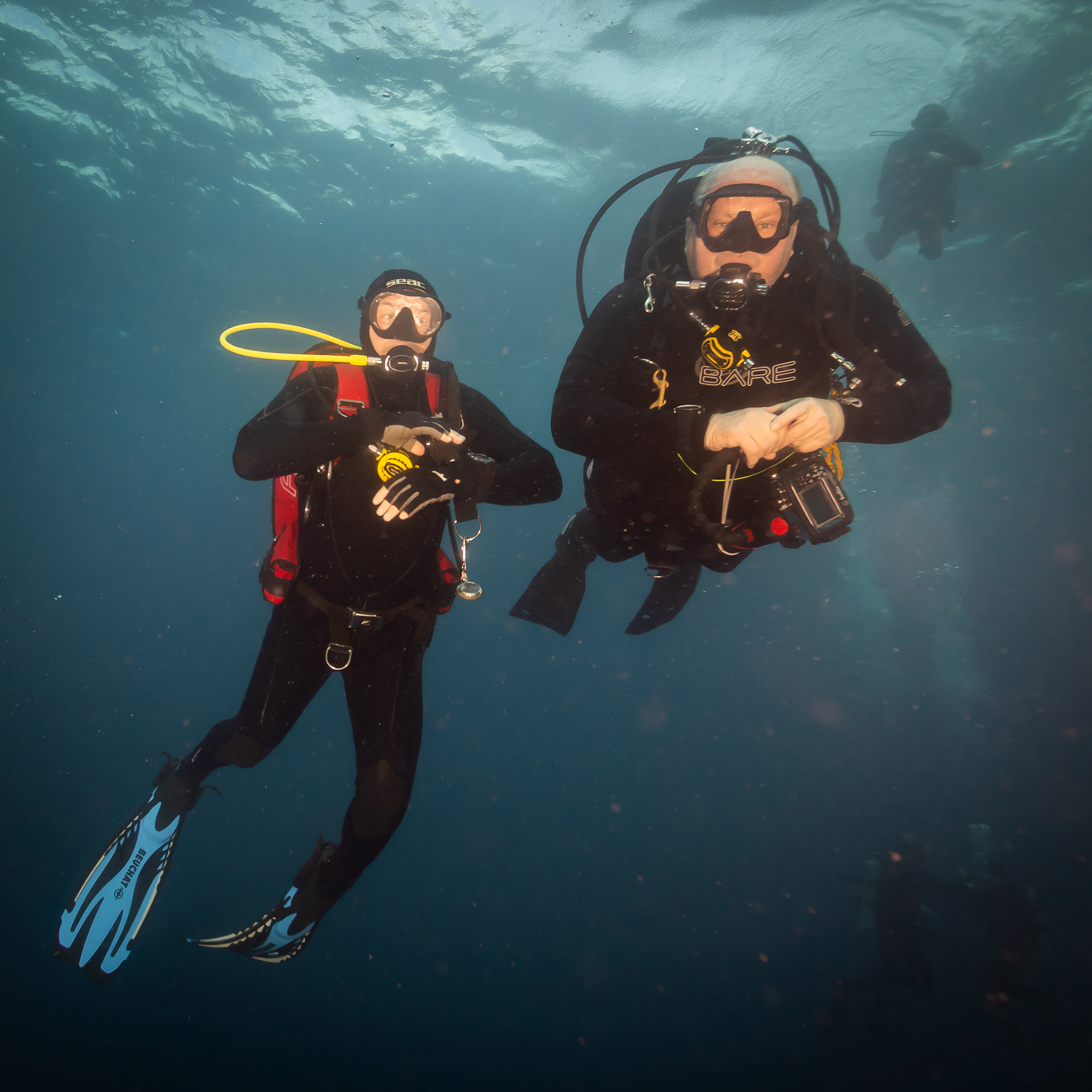 Vrak British Loaylty