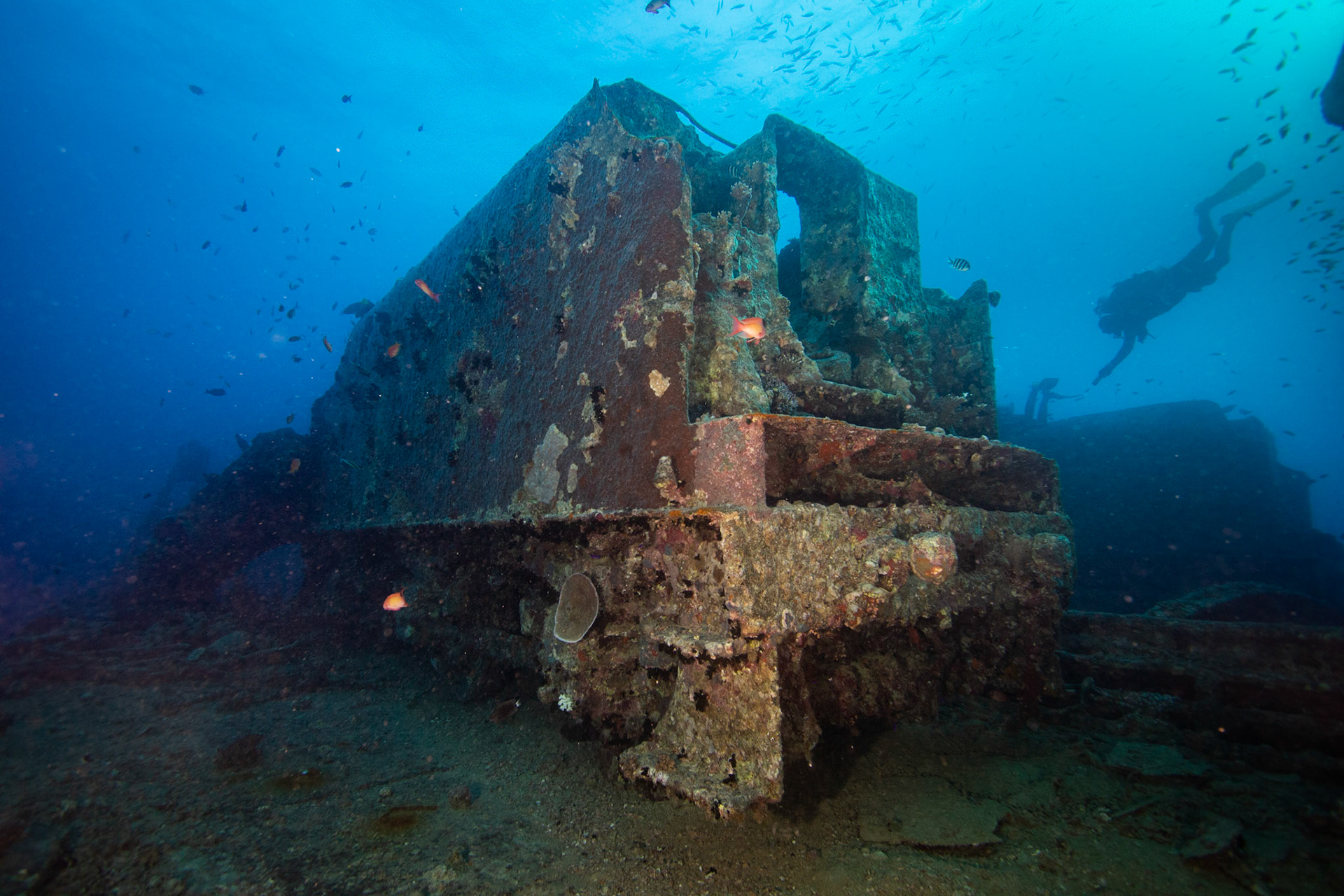 Thistlegorm