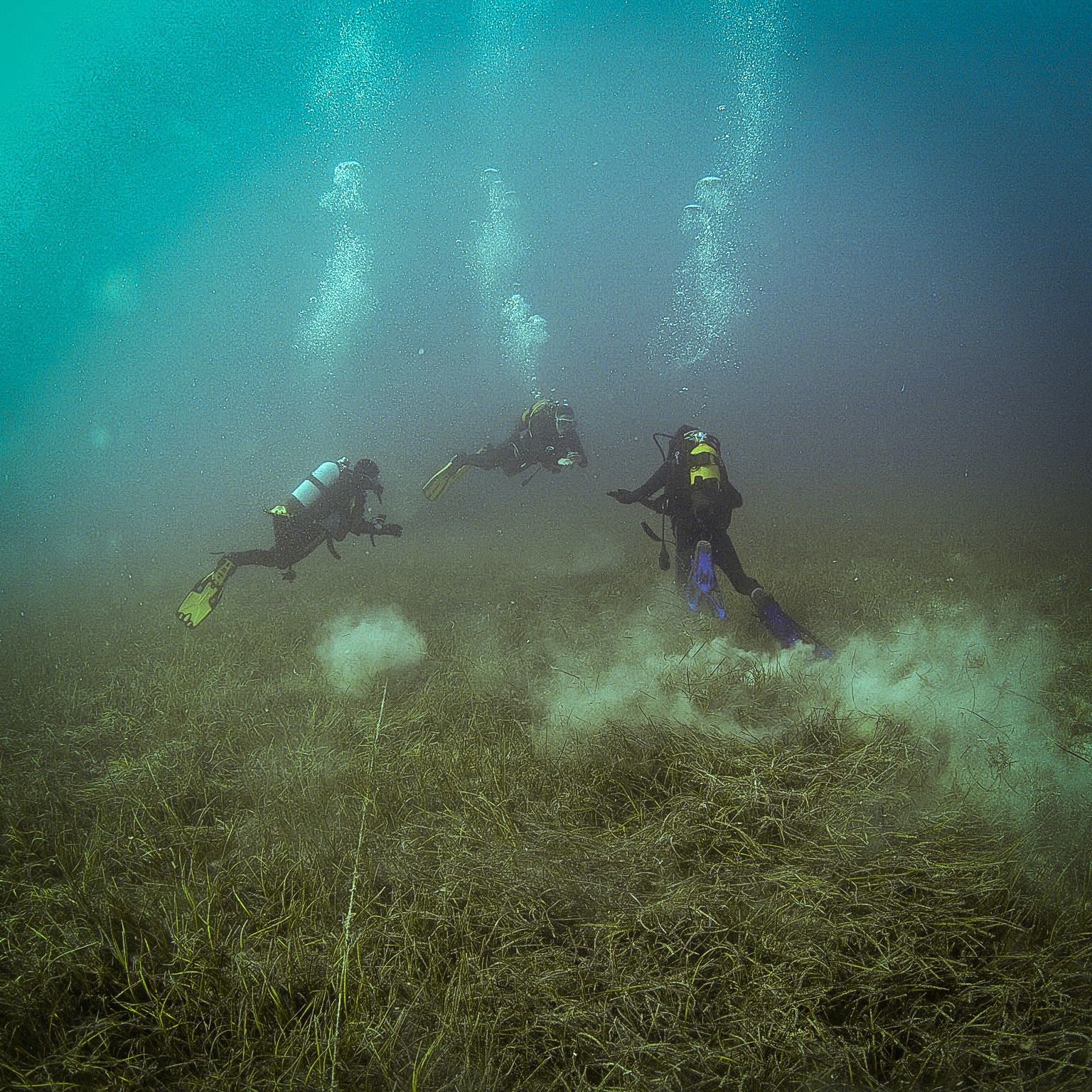NAUI Junior Scuba diver