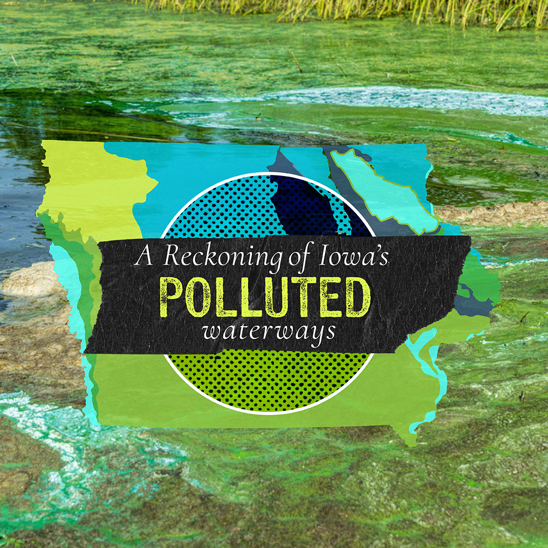 Editorial collage exploration, 2024