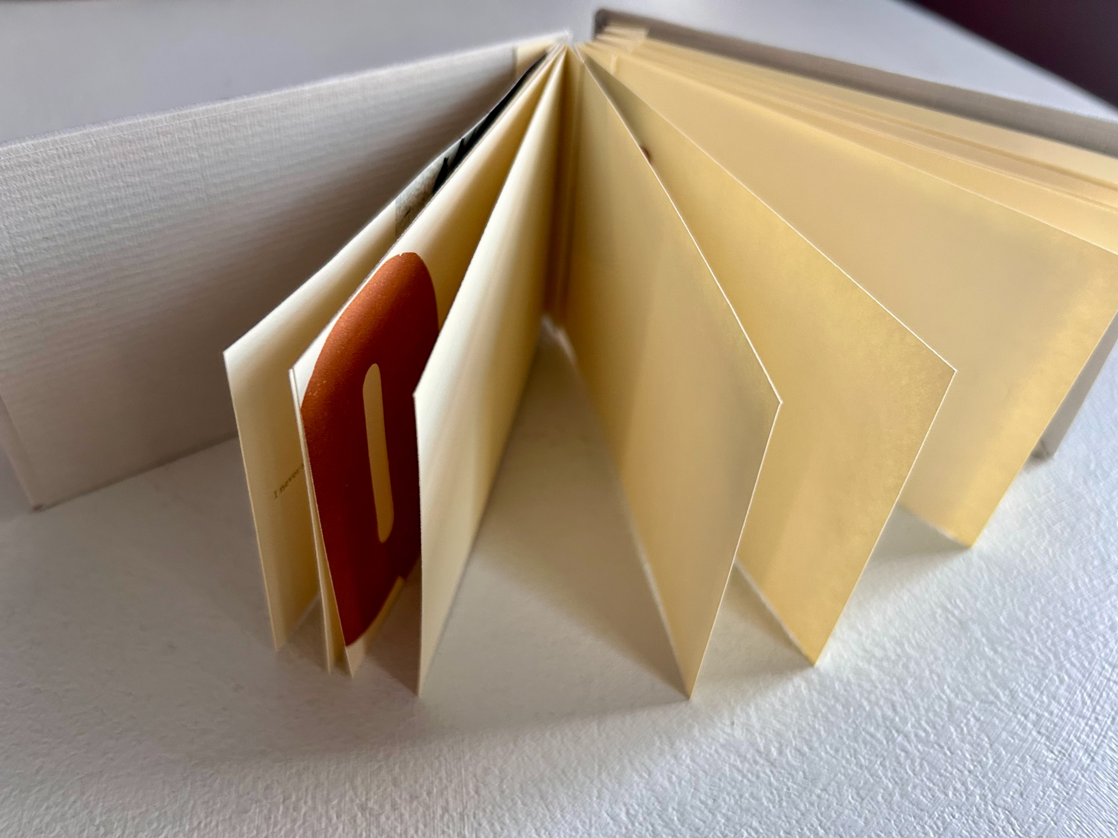 Letterpress artist book