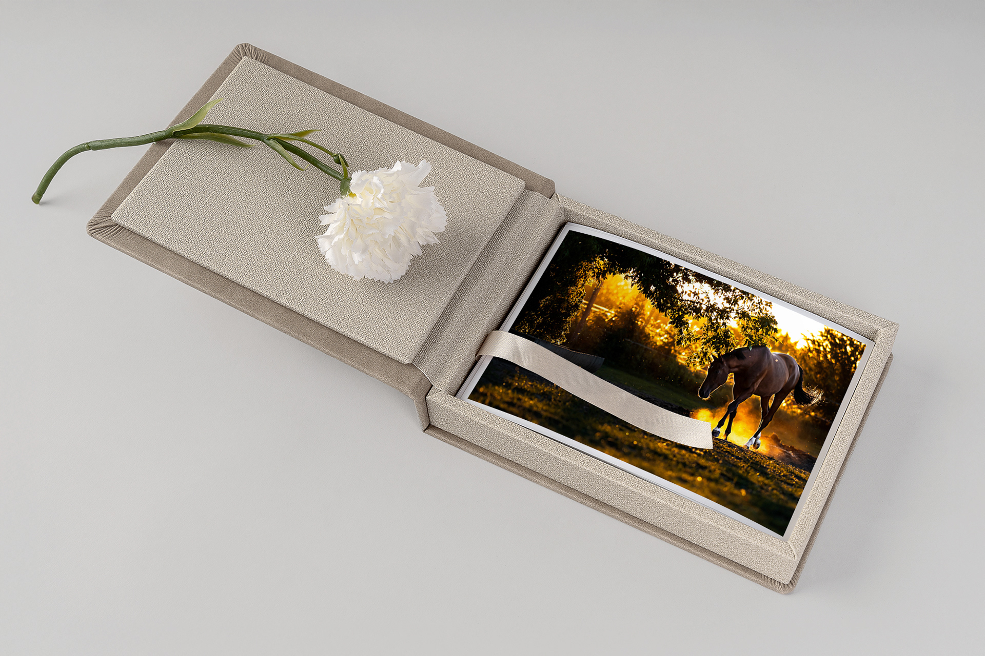 Art Prints