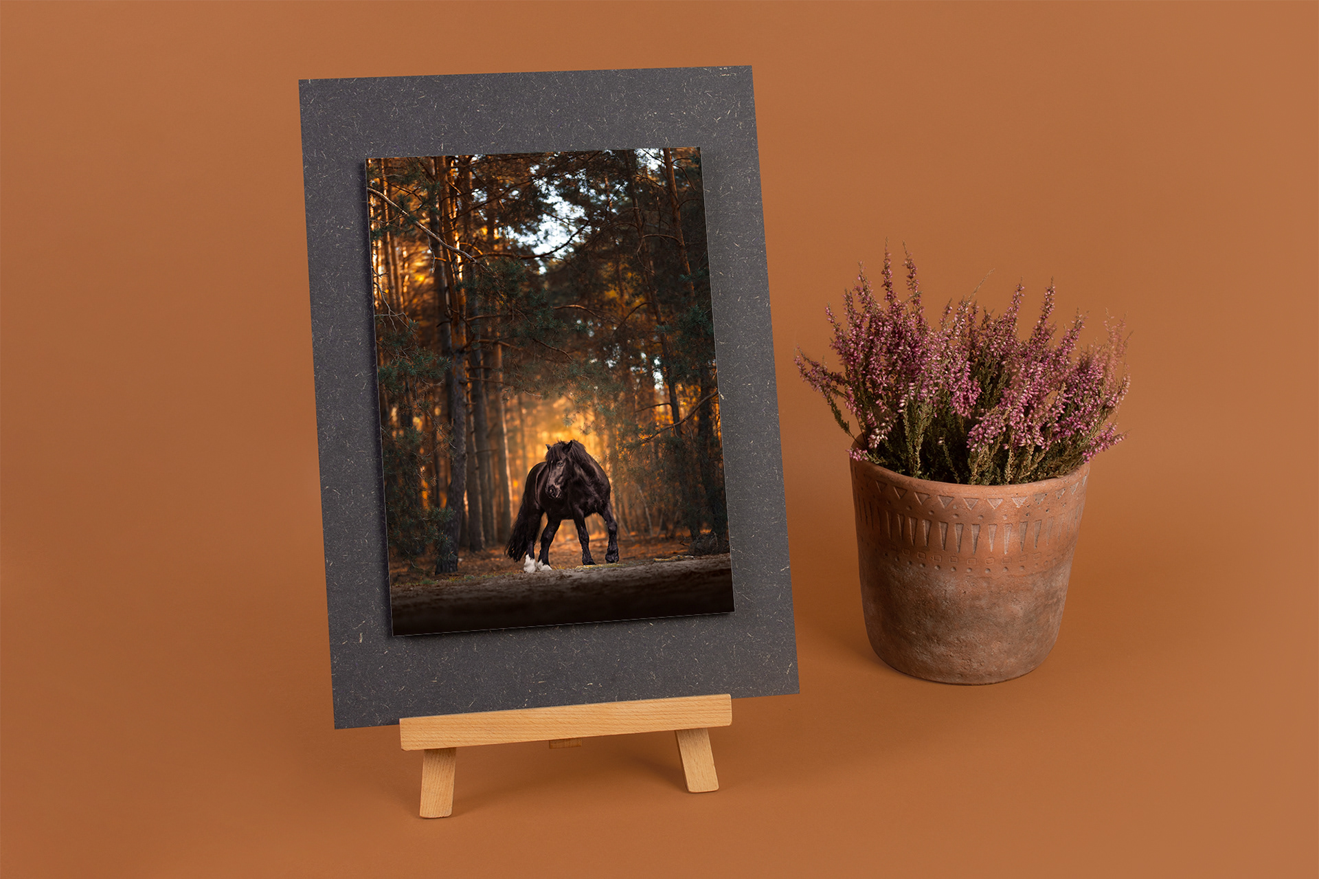 Fine Art Print