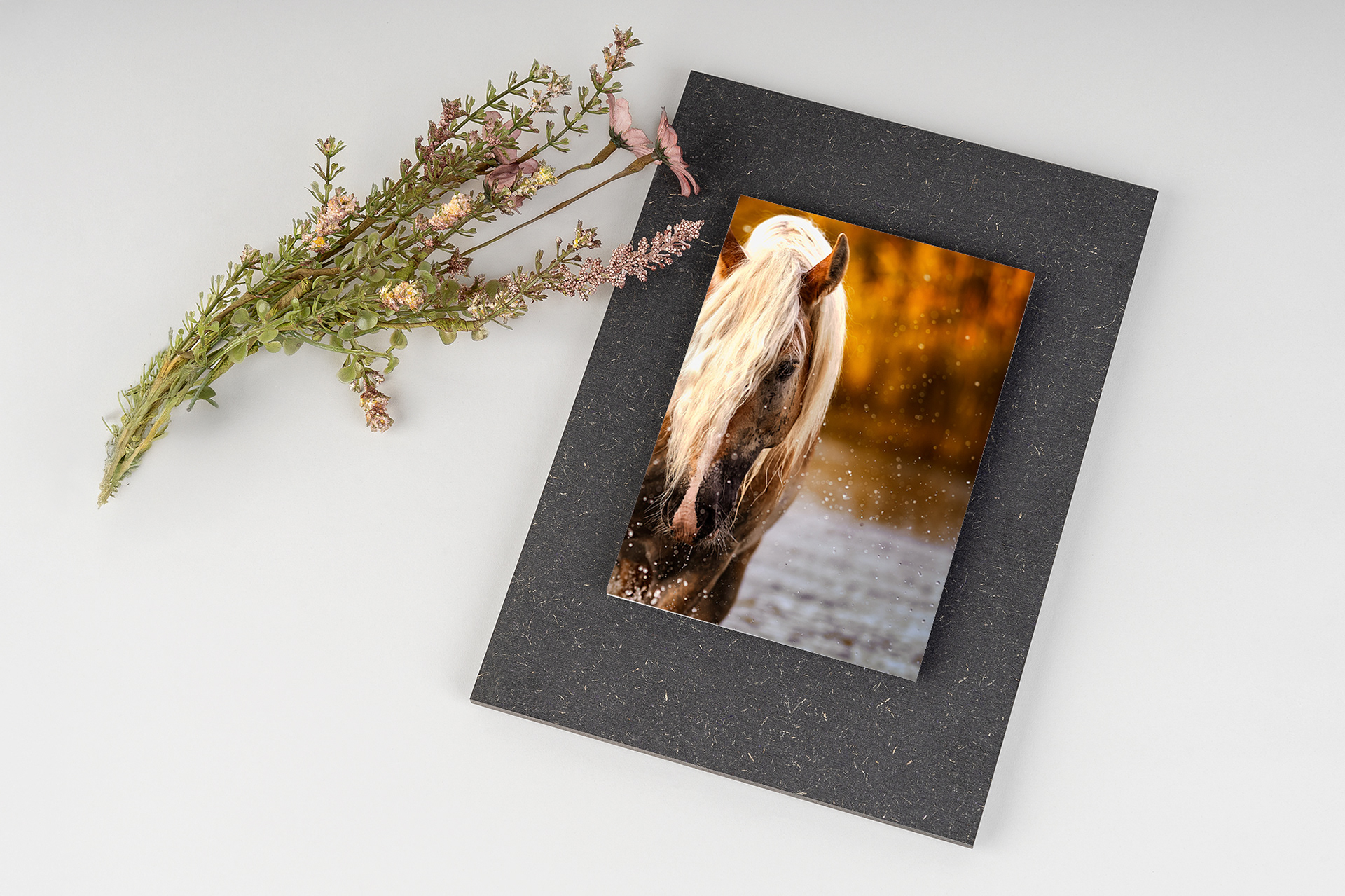 Fine Art Print