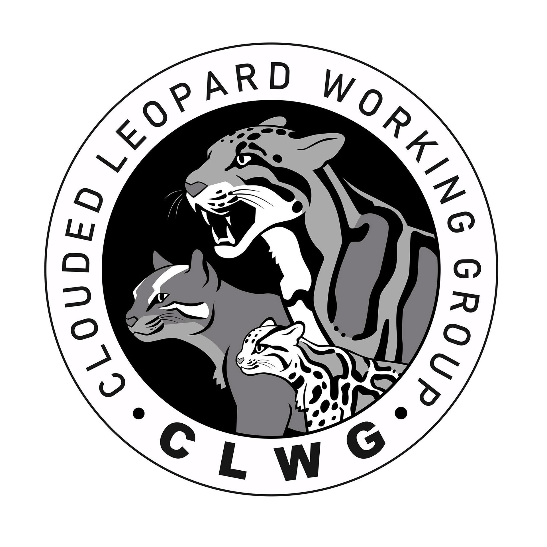 https://cloudedleopardpartners.org/