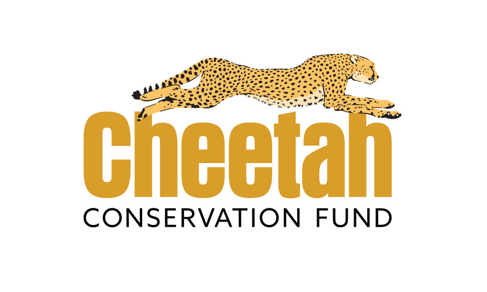 https://cheetah.org/uk/