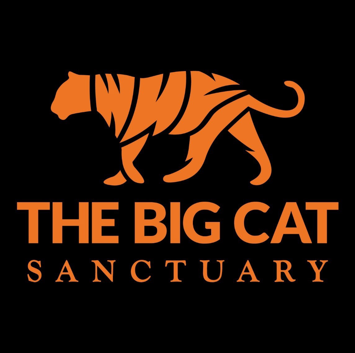 https://thebigcatsanctuary.org/