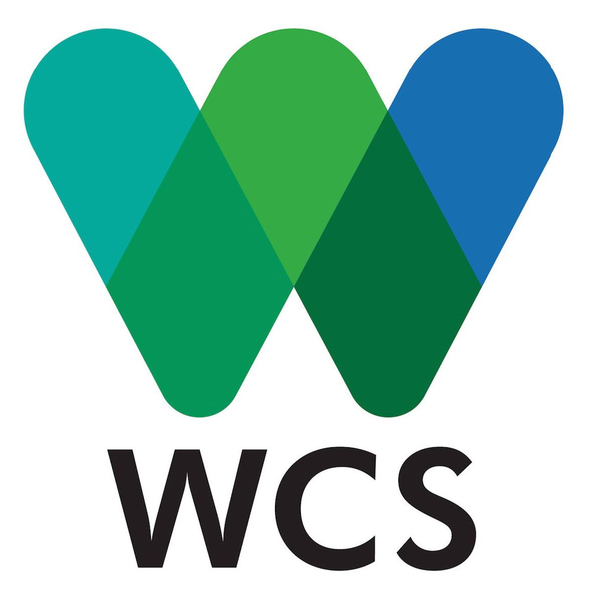 https://www.wcs.org/