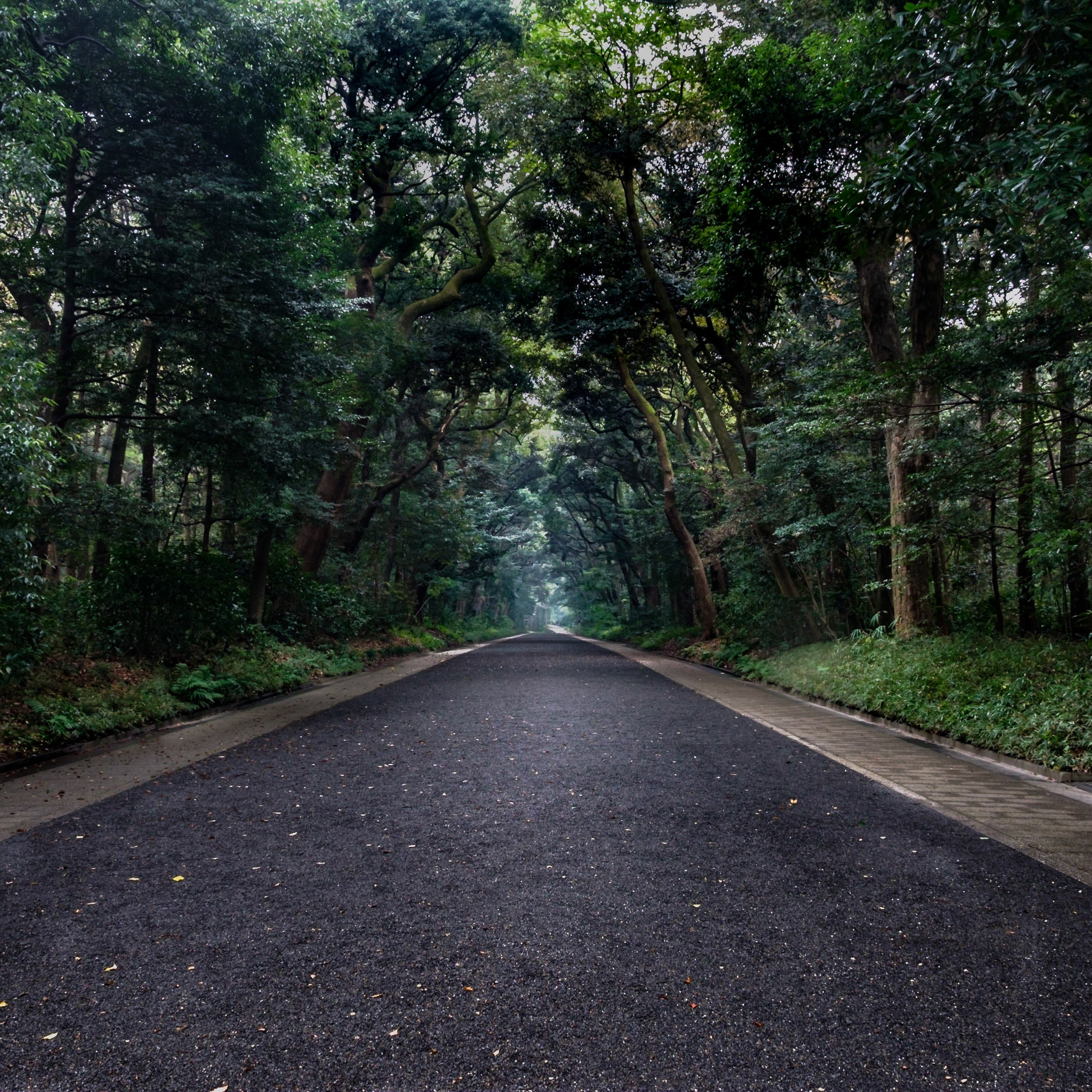 The entrance to the Meiji-Jingu Shrine. You are not allowed to use a tripod inside the park. It was a security guard watching us all the time when I shot this picture of the entrance early in the morning. Many people have their wishes written on wooden plates (called "ema") and have them prayed over at the shrine, hoping that your wishes would come true.