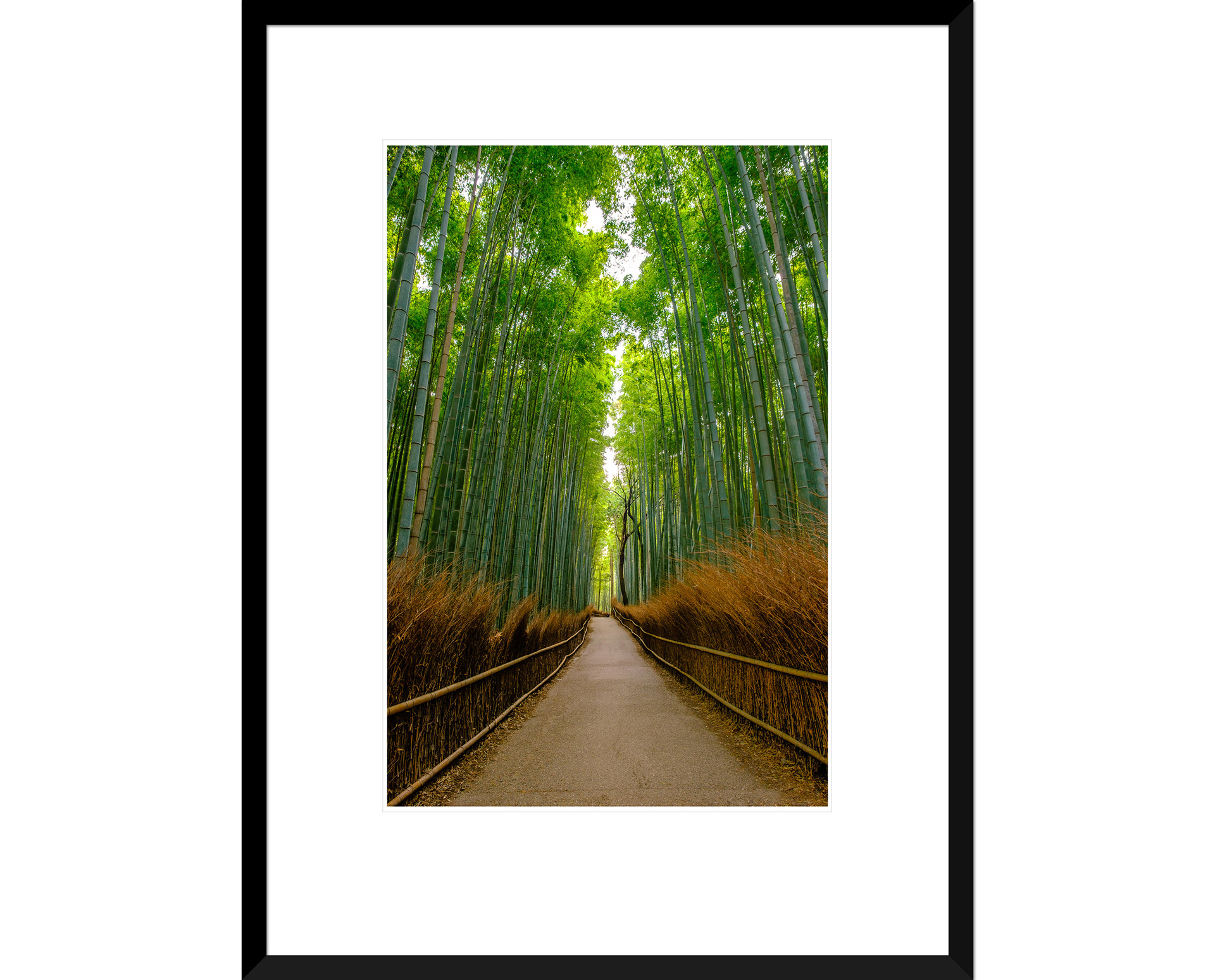 Arashiyama Bamboo Forest, Kyoto, Japan