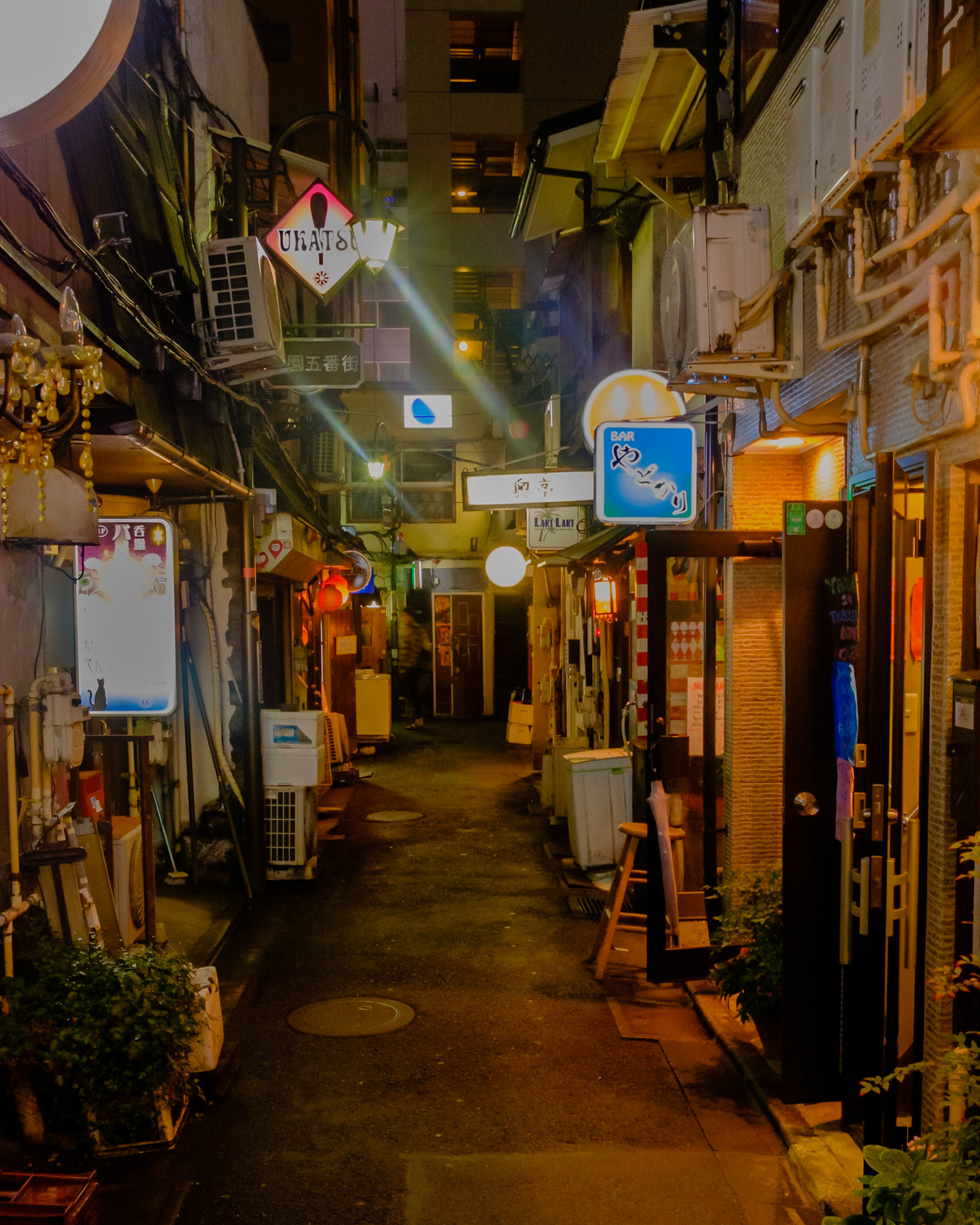 Narrow passageways of Shinjuku’s Golden Gai glow under warm lanterns, inviting you into intimate bars and whispered conversations.