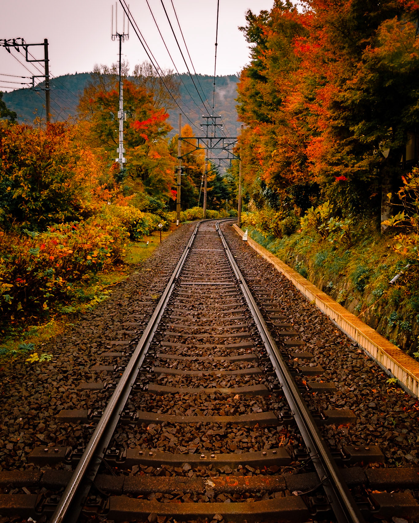 A quiet railway line cutting through vibrant autumn trees near Hakone, capturing the journey through the Japanese countryside.