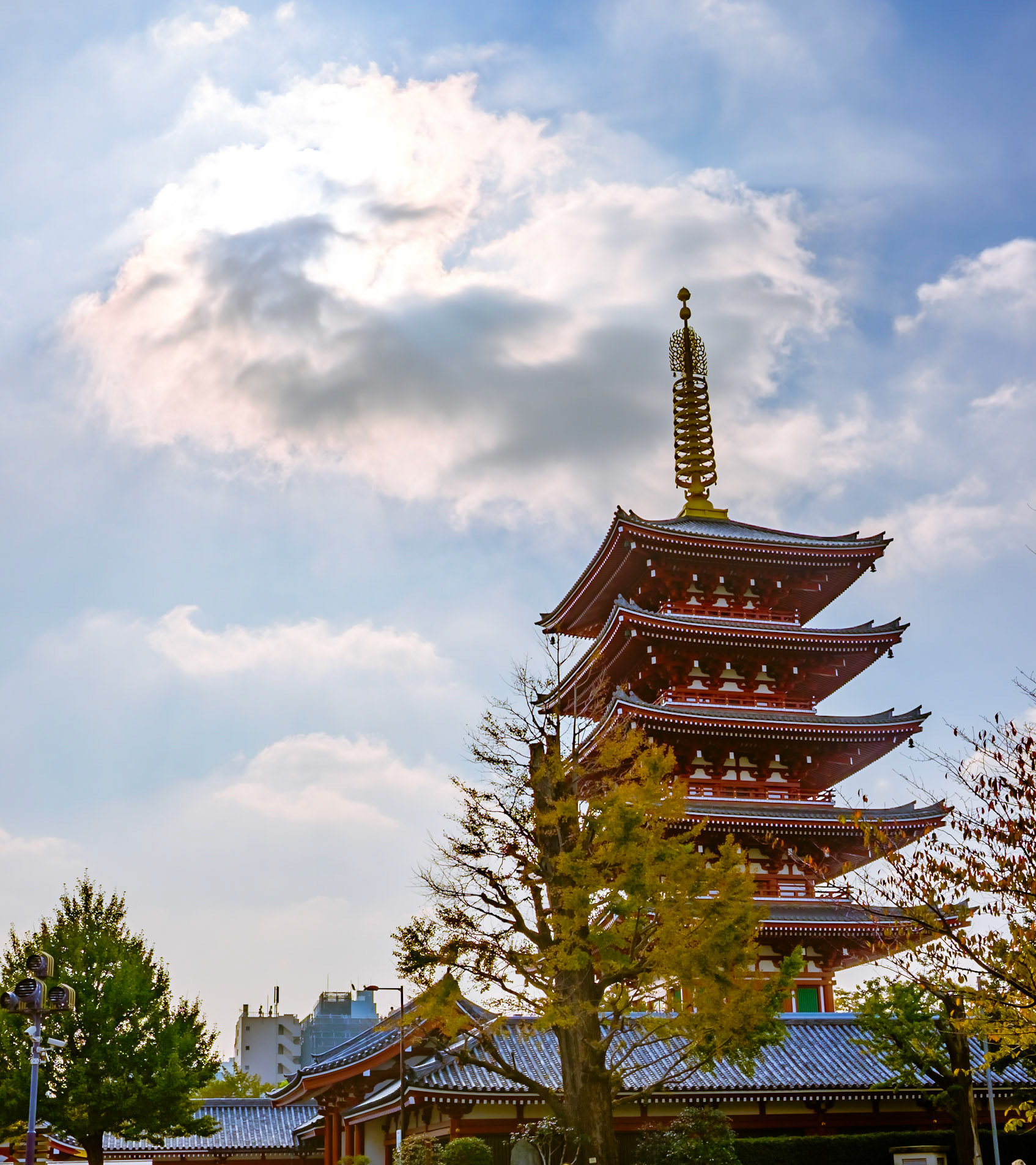 The architecture of some buildings is really cool.  Tokyo Sky Tree 634 meters tall is the world's tallest towerl. The lightning of the Tokyo Metropolitan Government Building is quite impressive at night. This Cocoon Tower just looks cool. The Asakusa temple  is one of Tokyo's most colorful and popular temples.