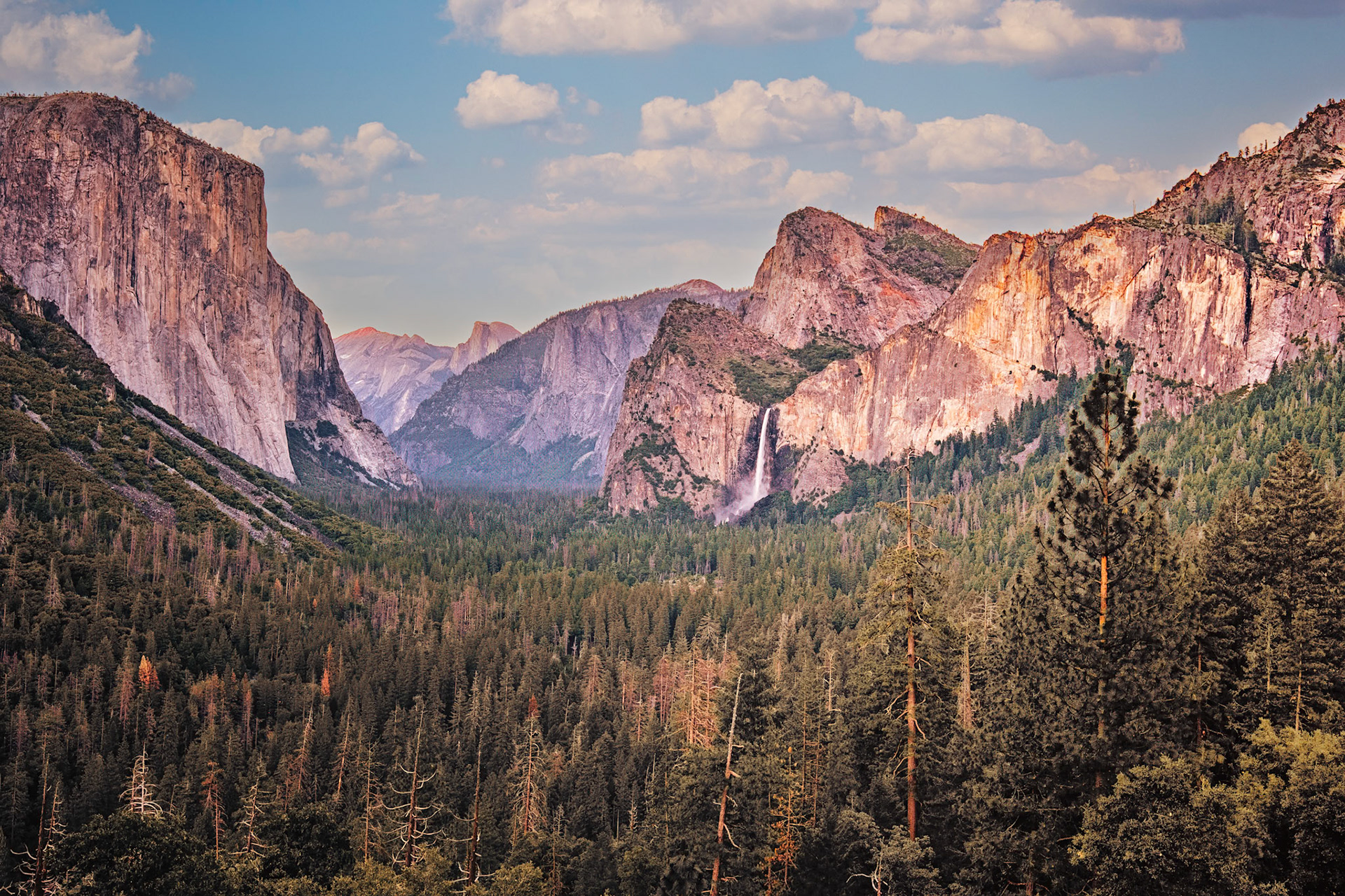 From Tunnel View at Yosemite National Park, the granite face of El Capitan, Bridalveil Fall, and Half Dome glow under pastel sunset skies above the sprawling evergreen valley.