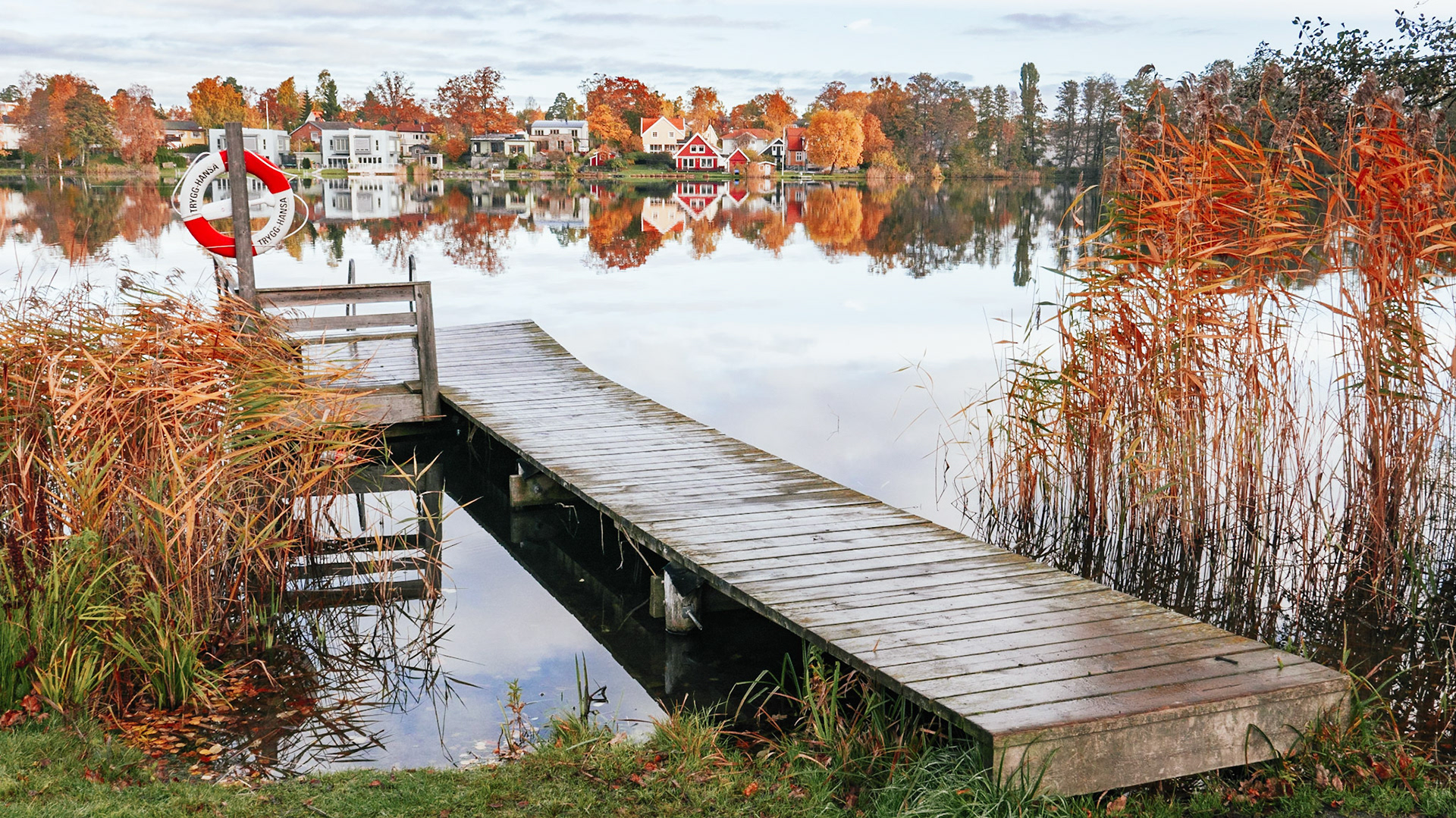 During summer this pier is often used by kids fishing for small bass and roach