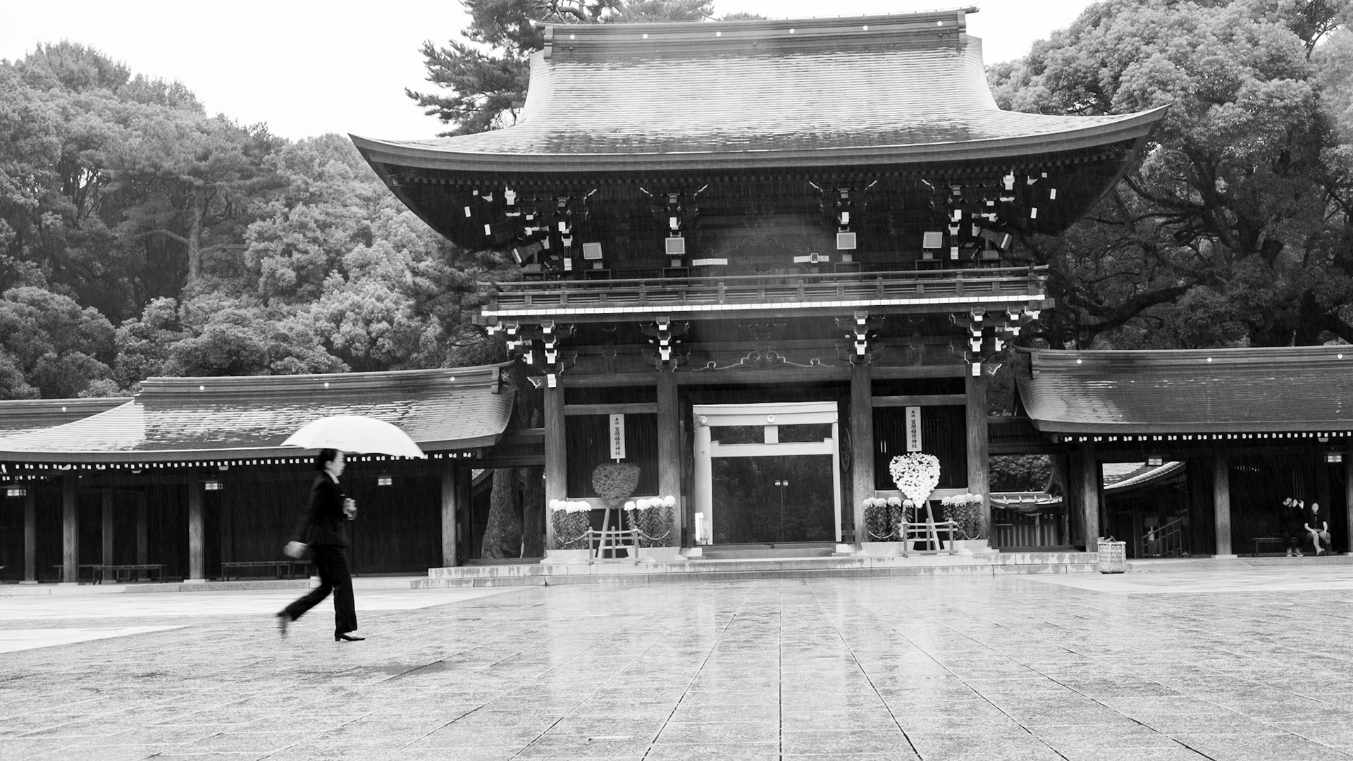 Rainy morning at Meiji Shrine, Tokyo — a single umbrella crossing the quiet courtyard