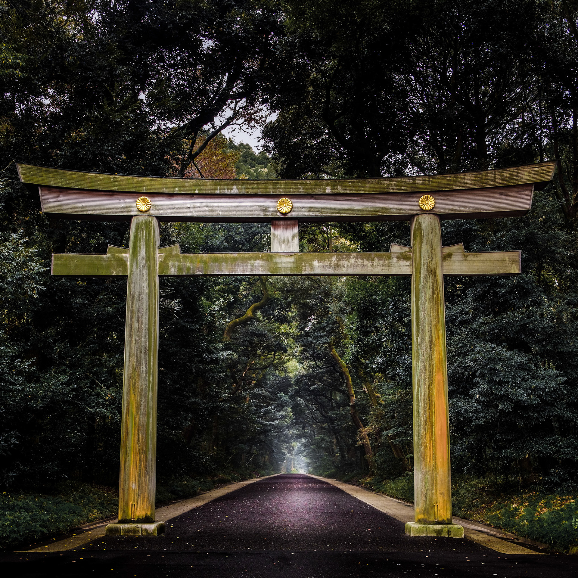 The entrance to the Meiji-Jingu Shrine. You are not allowed to use a tripod inside the park. It was a security guard watching us all the time when I shot this picture of the entrance early in the morning. Many people have their wishes written on wooden plates (called "ema") and have them prayed over at the shrine, hoping that your wishes would come true.