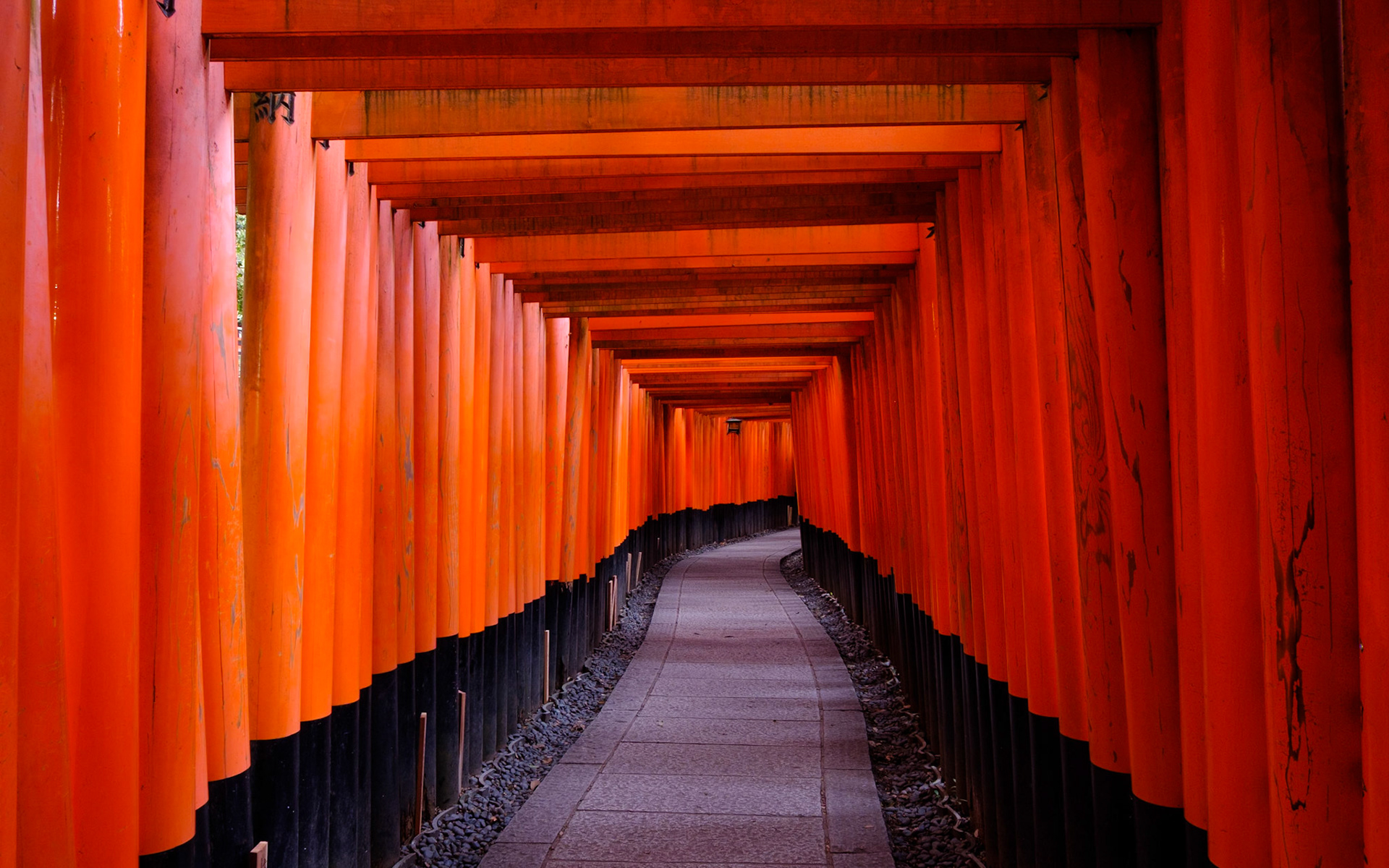 Torii gates of Fushimi Inari, Kyoto — paths of faith and rhythm