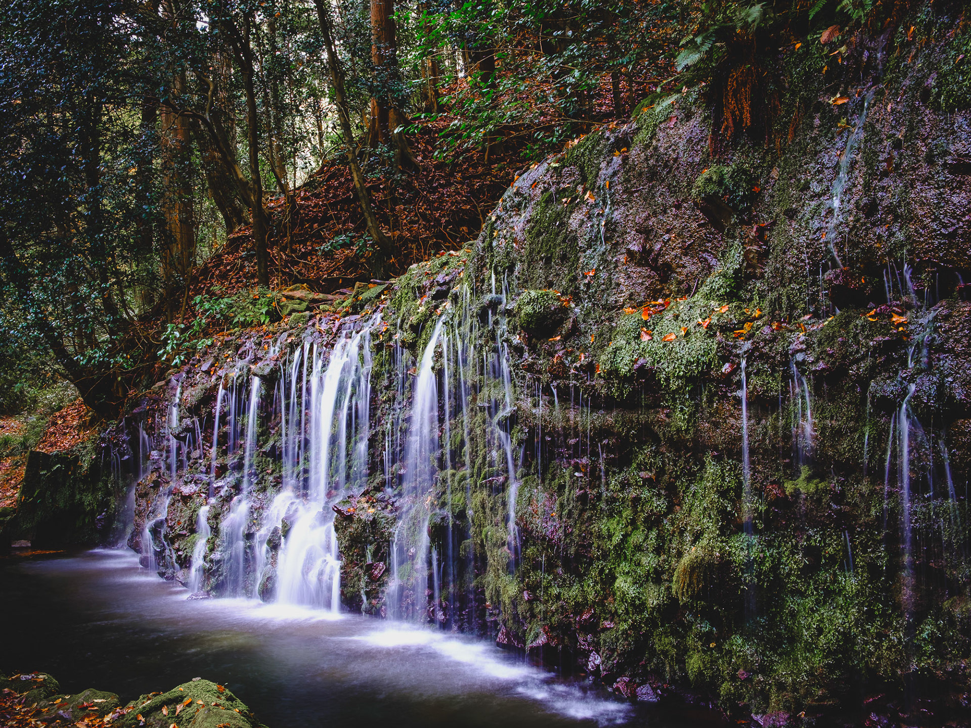 A small waterfall at Chisuji Falls in Hakone, surrounded by mossy rocks and green forest light.